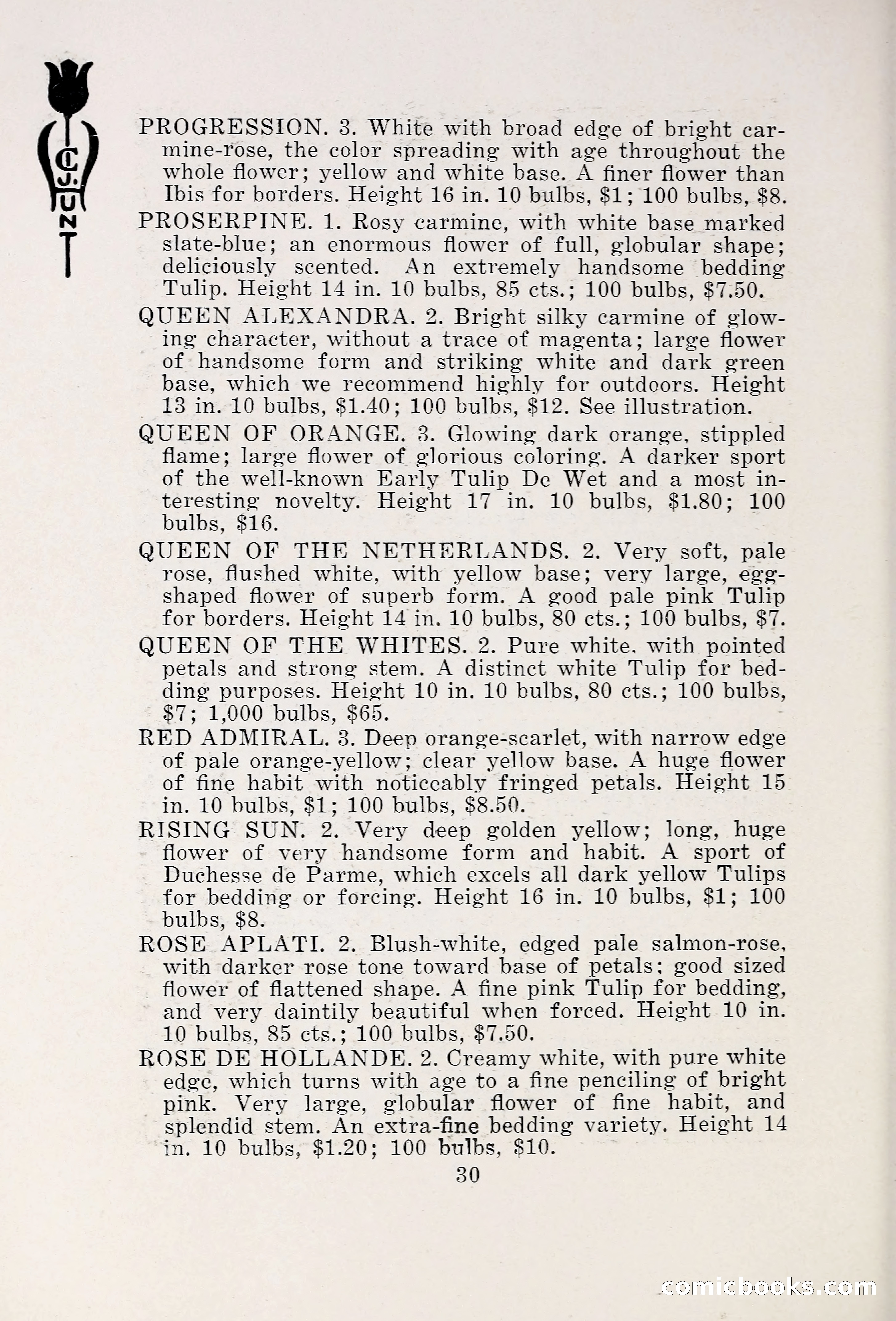 Blue Book of Bulbs, 1931 — page 35 of 142