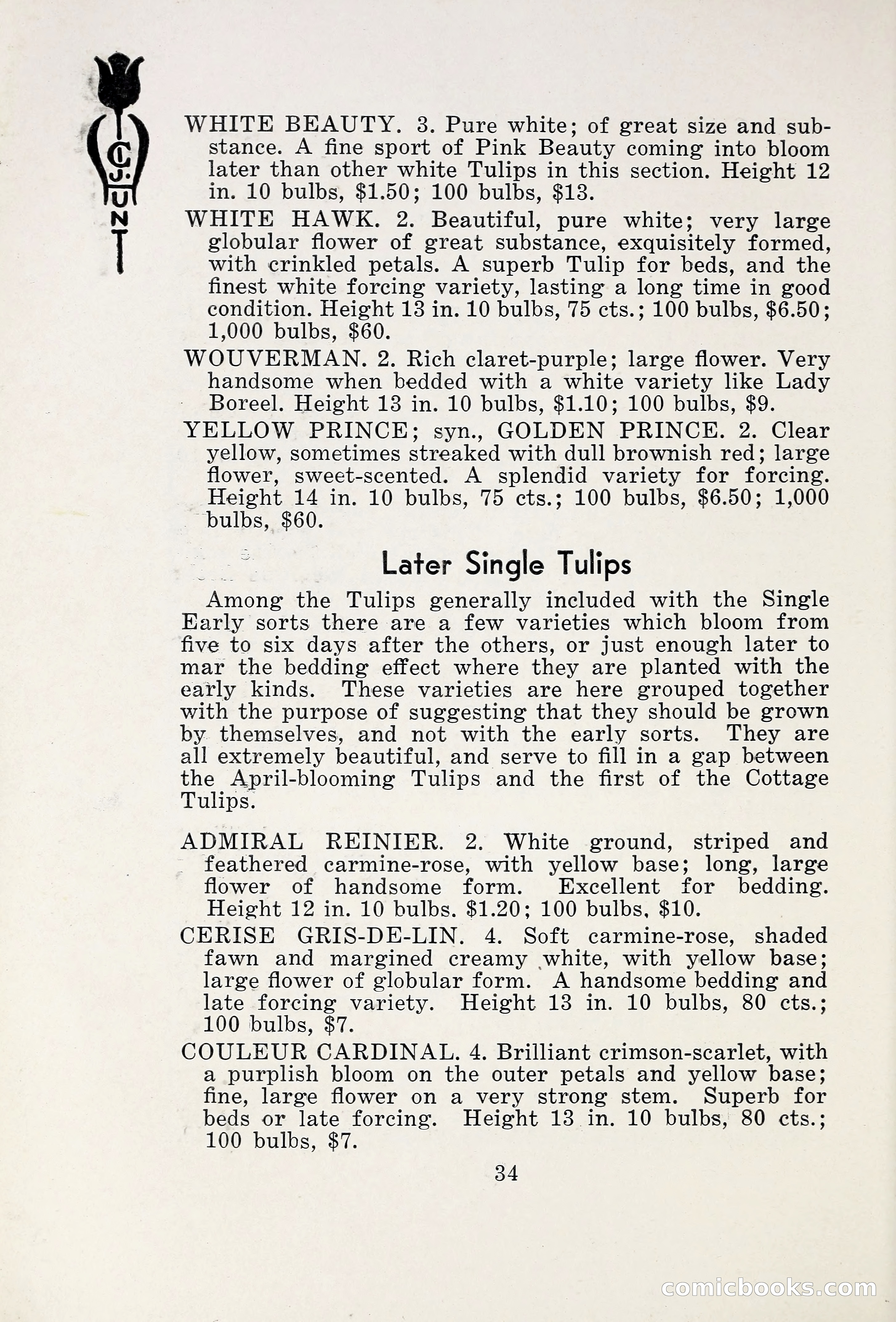 Blue Book of Bulbs, 1931 — page 39 of 142