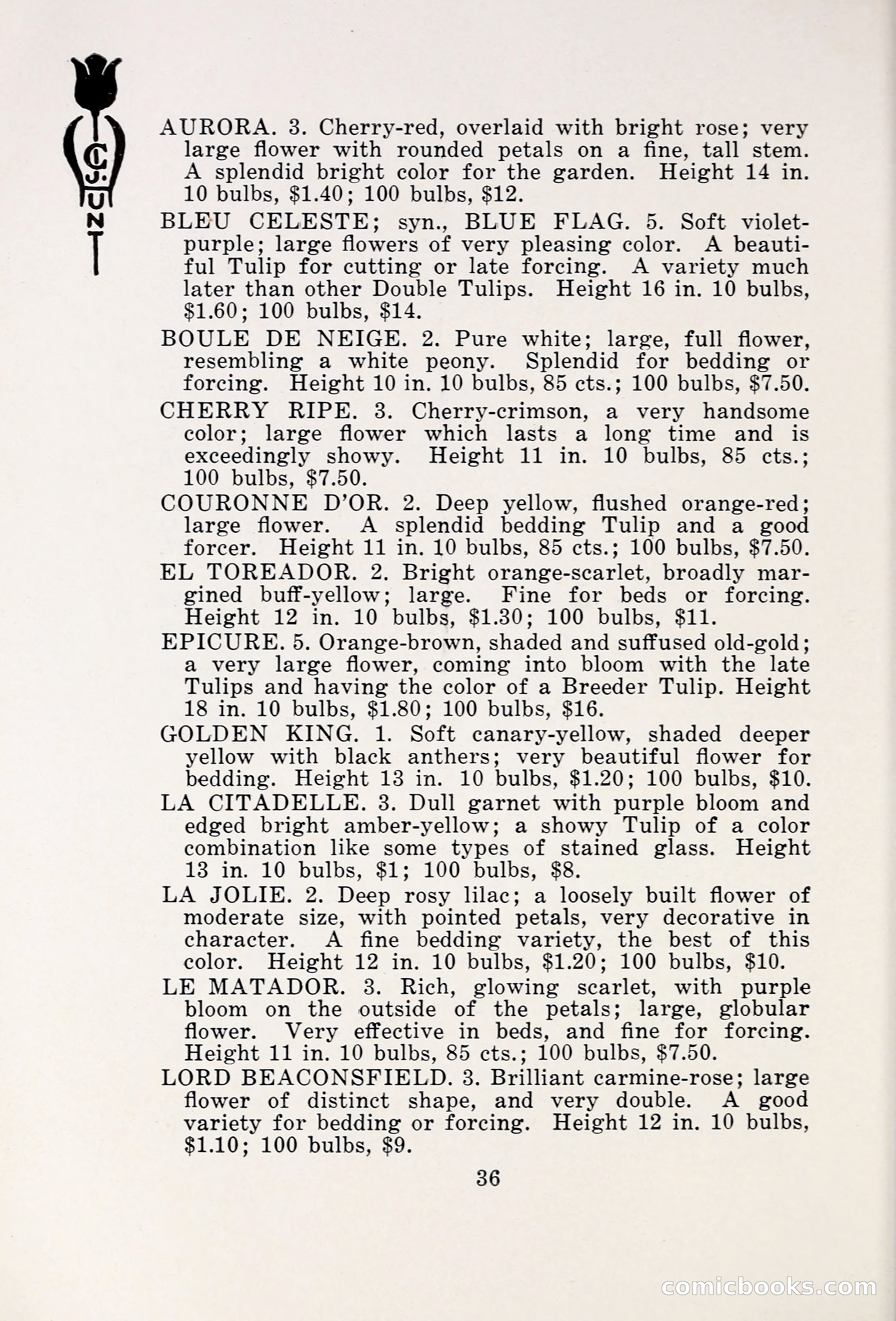 Blue Book of Bulbs, 1931 — page 41 of 142