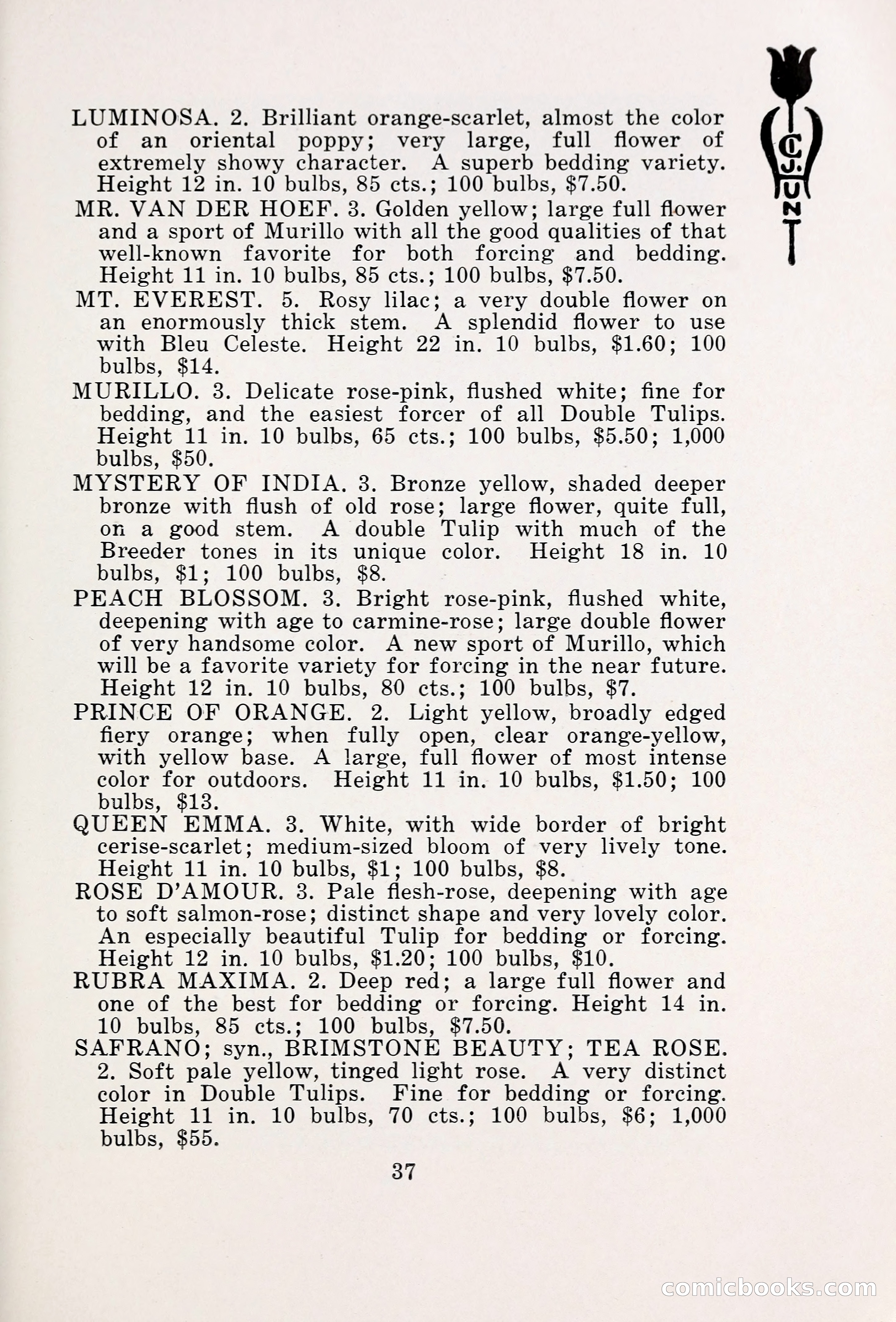 Blue Book of Bulbs, 1931 — page 42 of 142