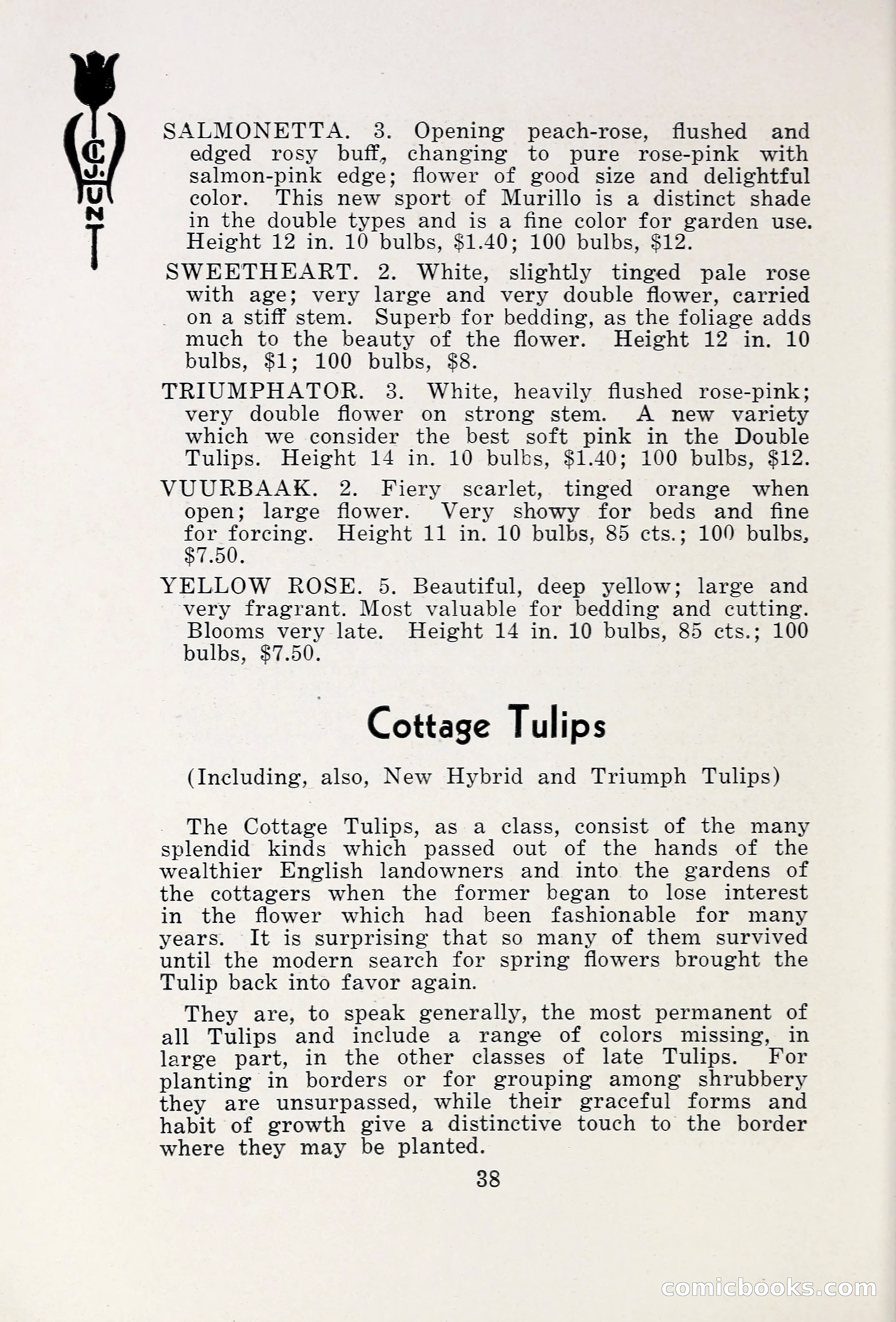 Blue Book of Bulbs, 1931 — page 43 of 142