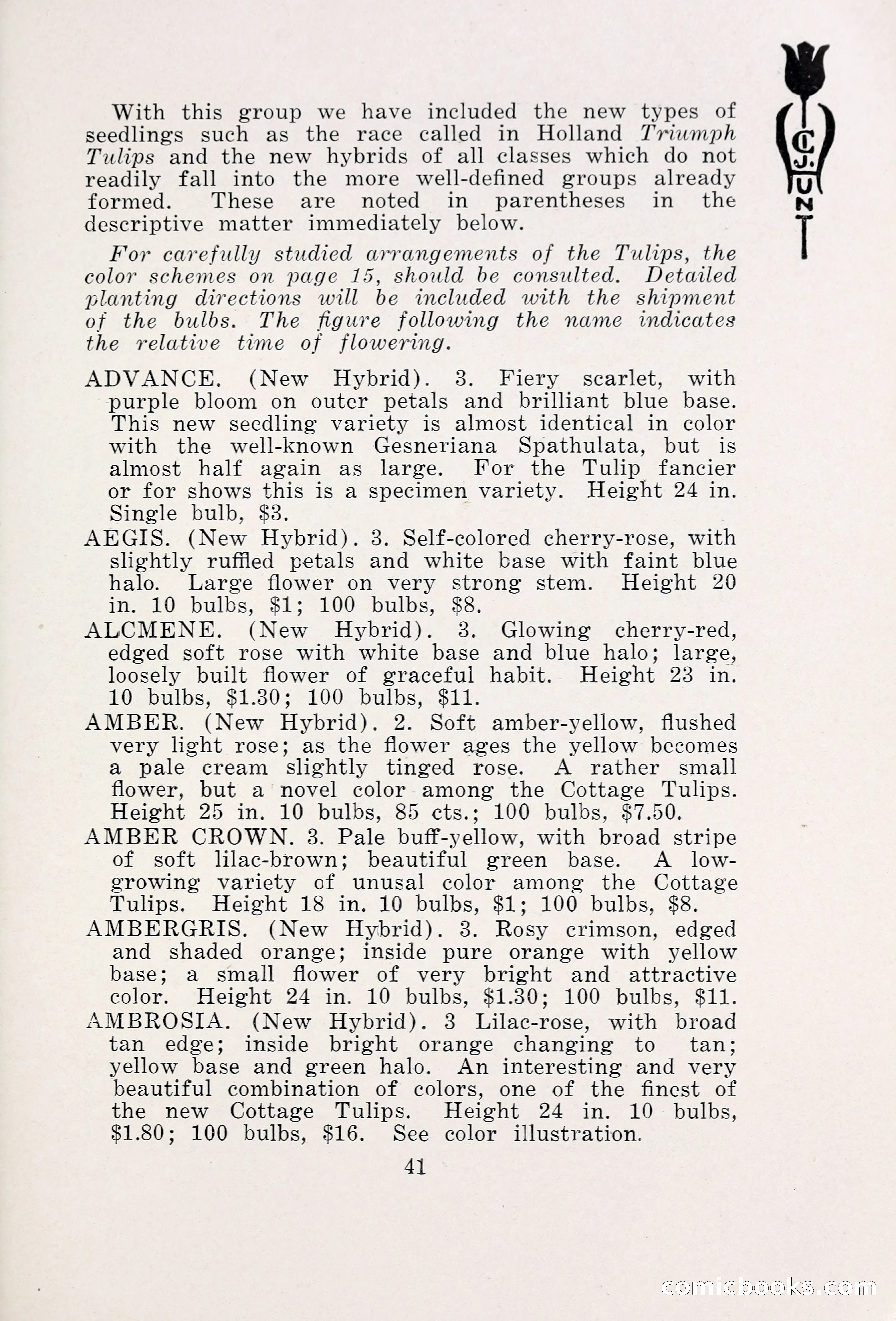 Blue Book of Bulbs, 1931 — page 46 of 142