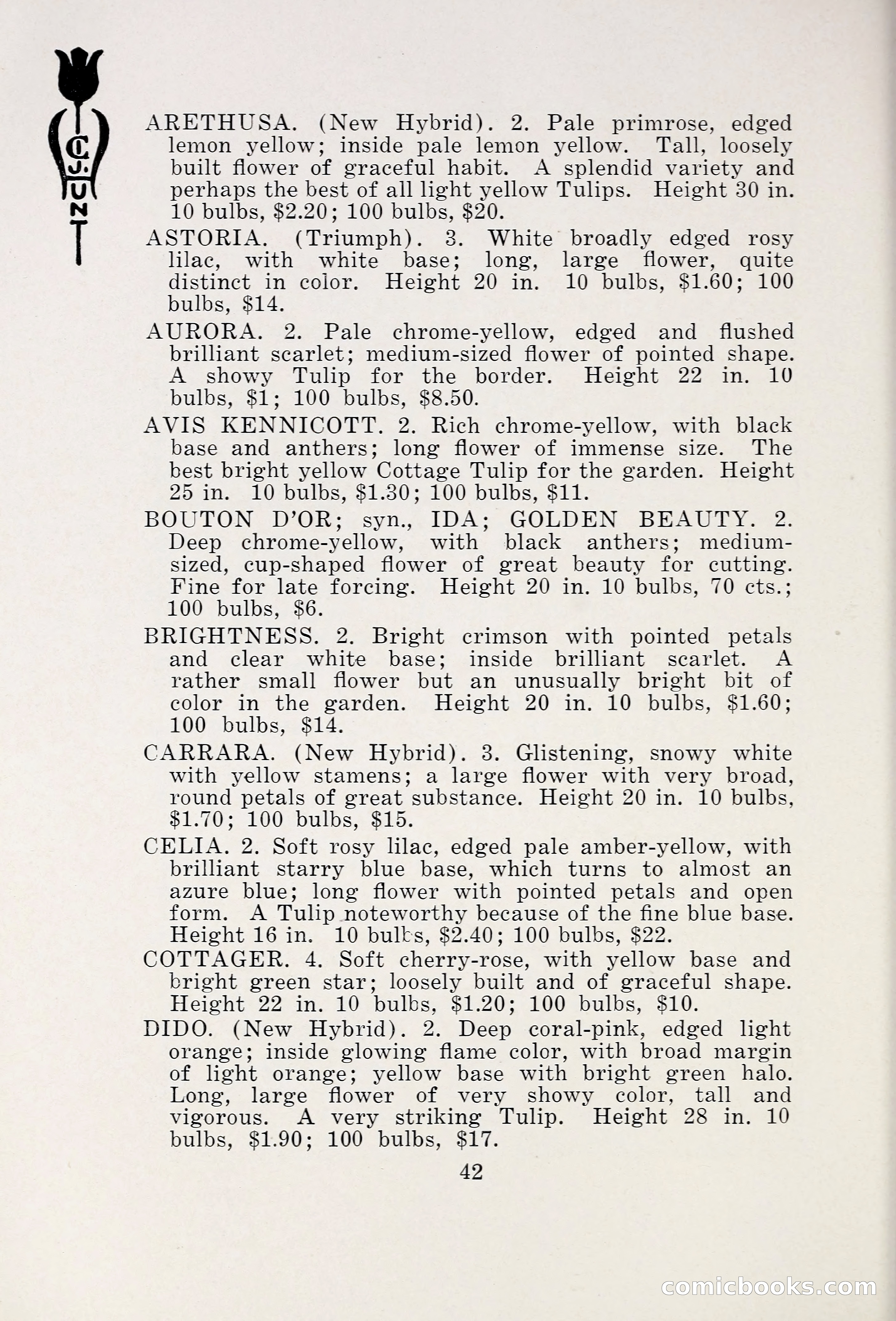 Blue Book of Bulbs, 1931 — page 47 of 142