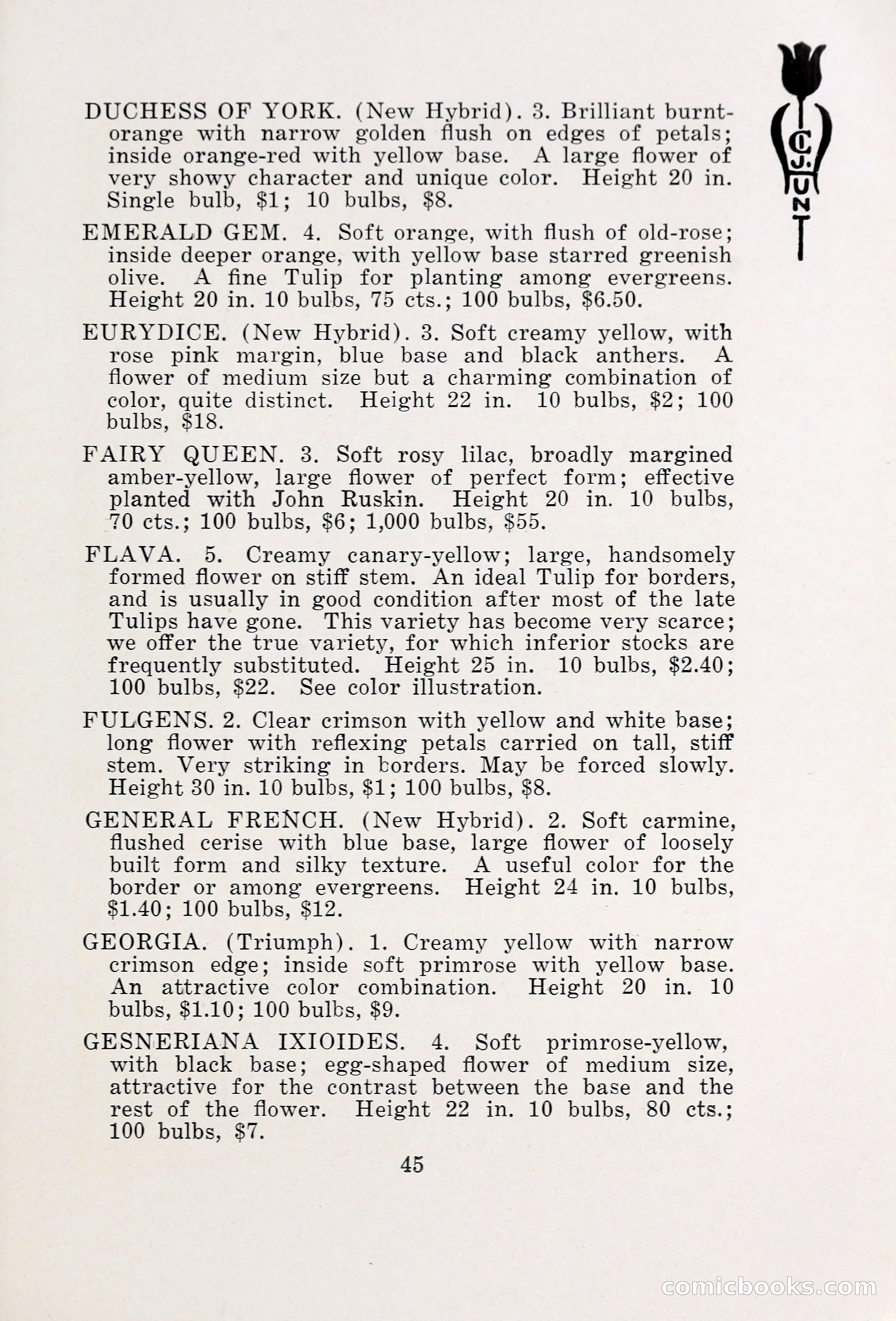 Blue Book of Bulbs, 1931 — page 50 of 142