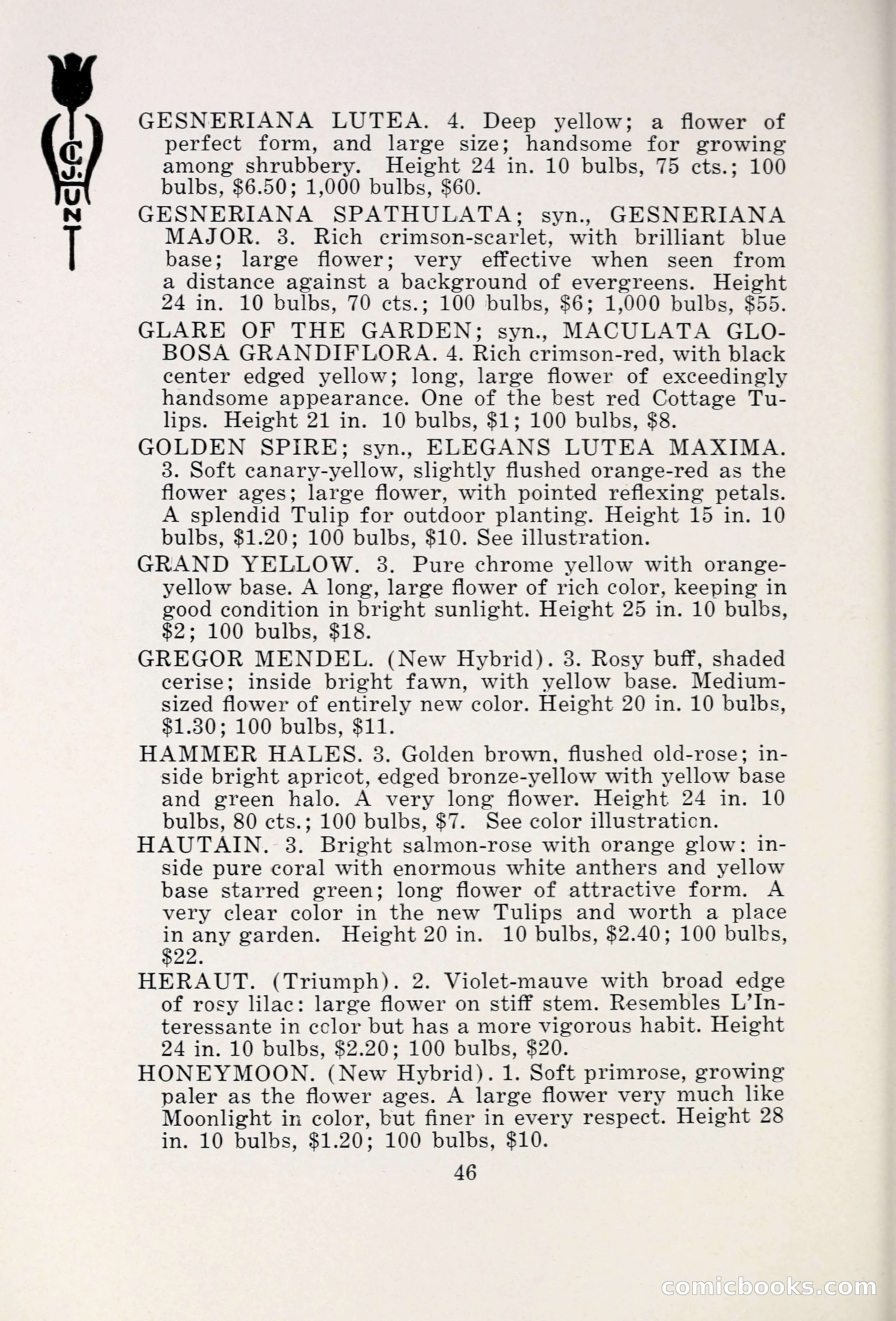 Blue Book of Bulbs, 1931 — page 51 of 142