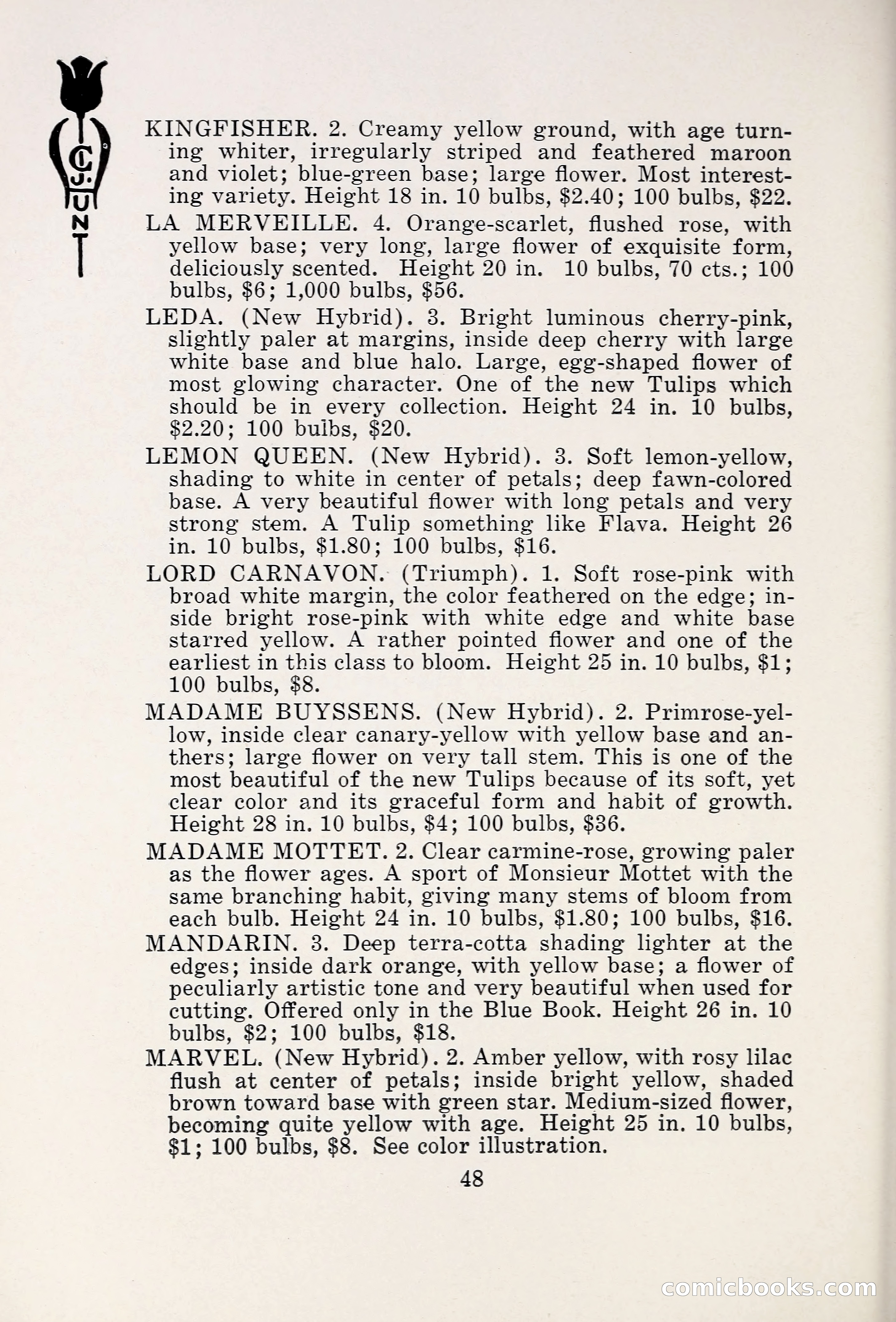 Blue Book of Bulbs, 1931 — page 53 of 142