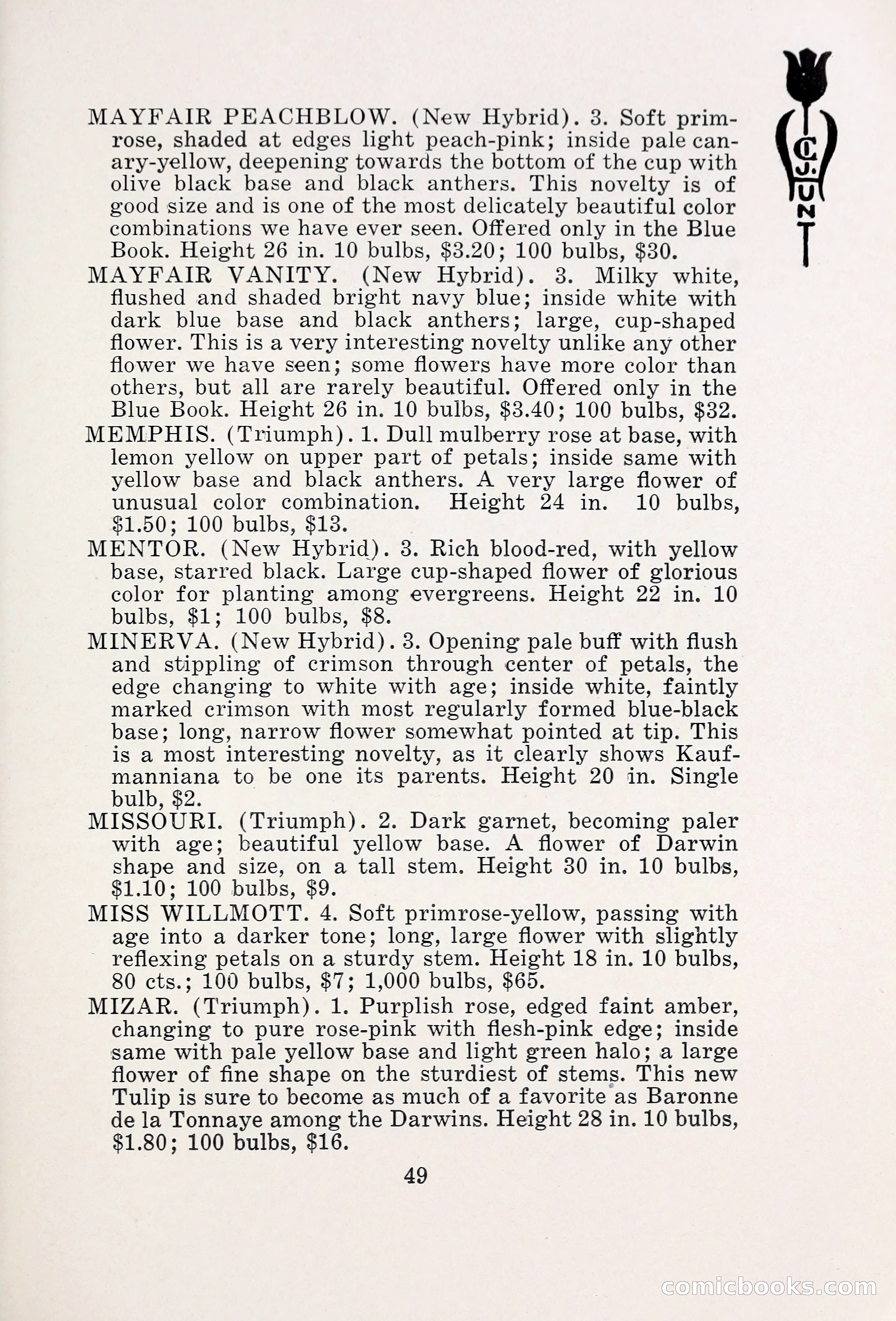 Blue Book of Bulbs, 1931 — page 54 of 142
