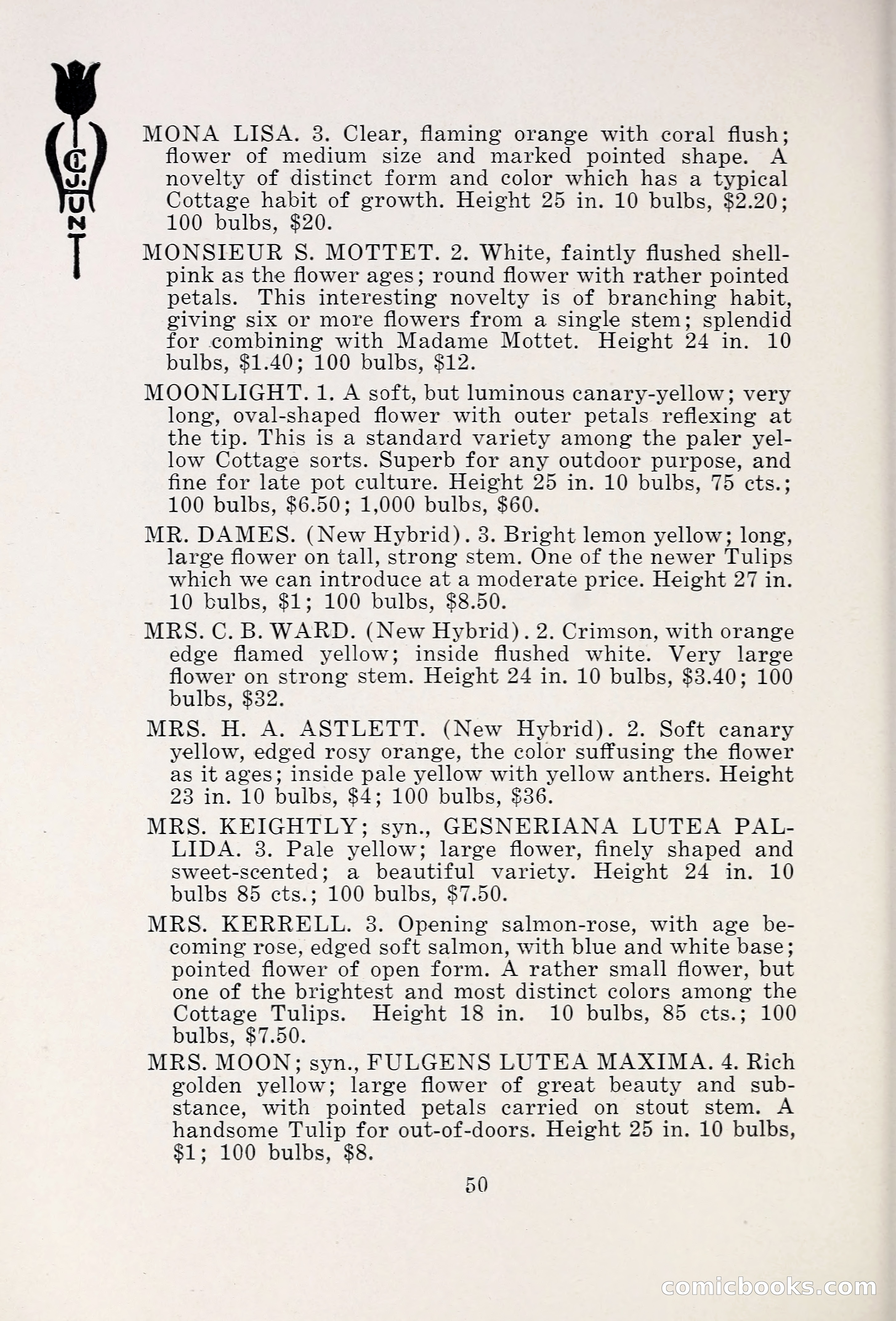 Blue Book of Bulbs, 1931 — page 55 of 142