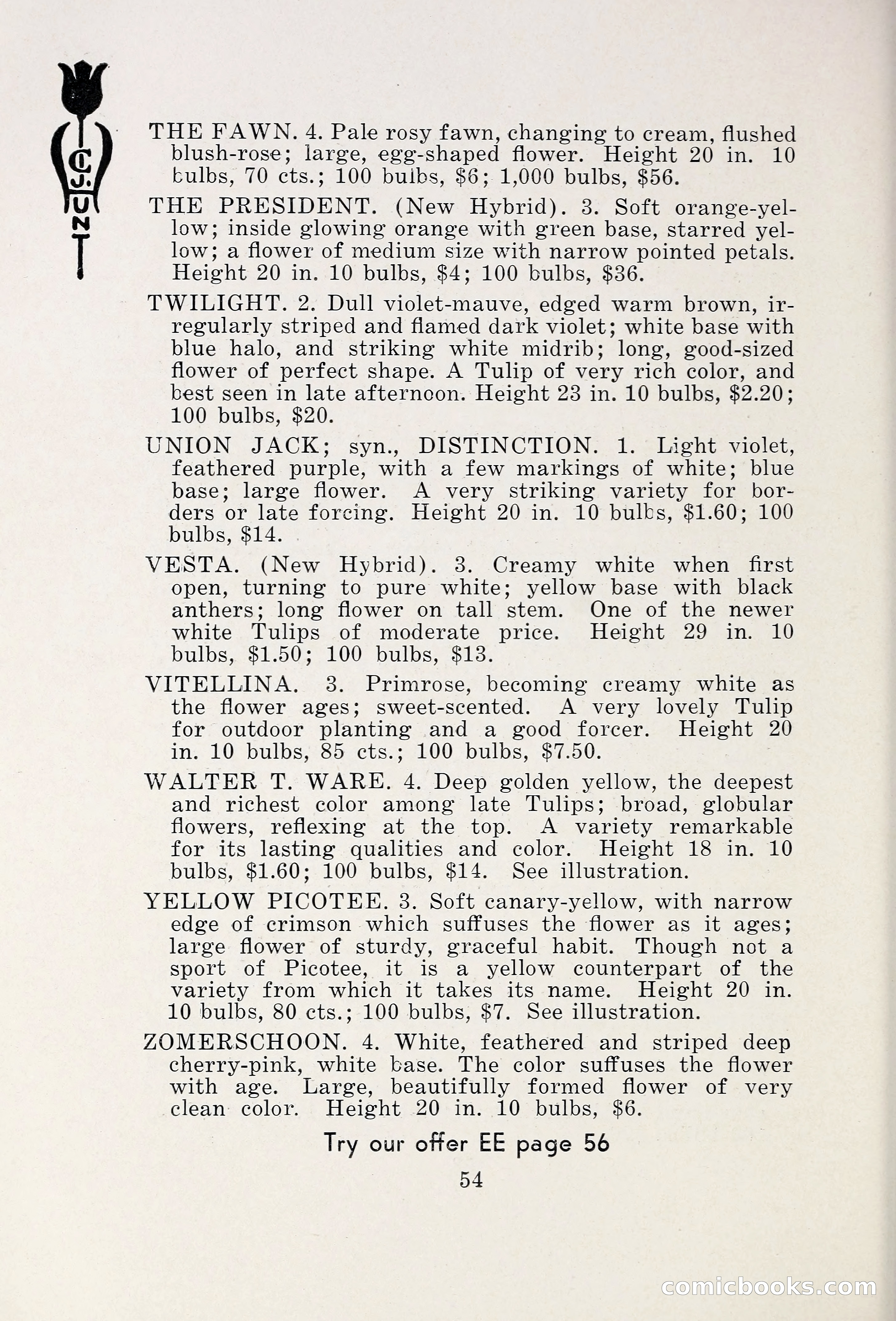 Blue Book of Bulbs, 1931 — page 59 of 142