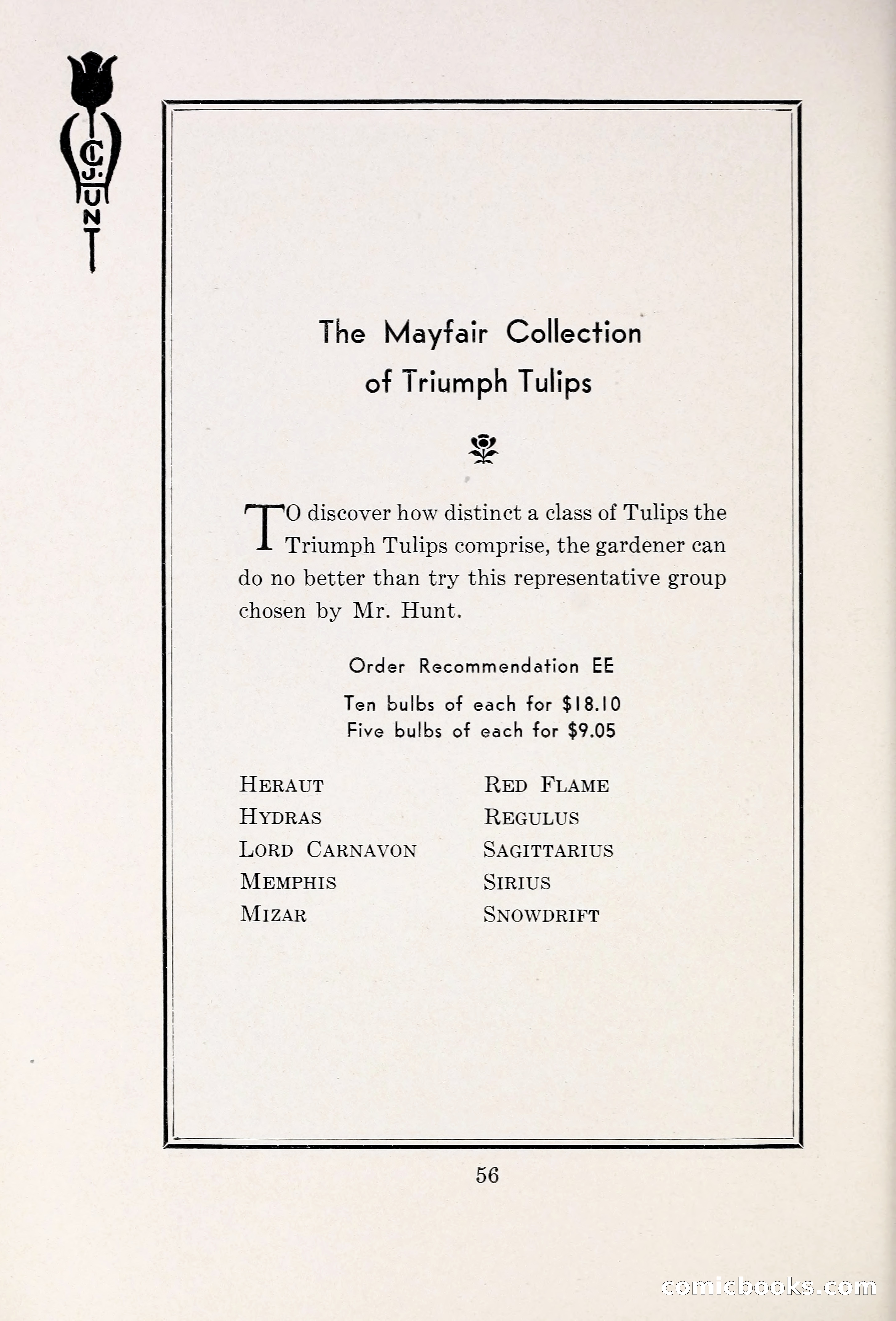 Blue Book of Bulbs, 1931 — page 61 of 142