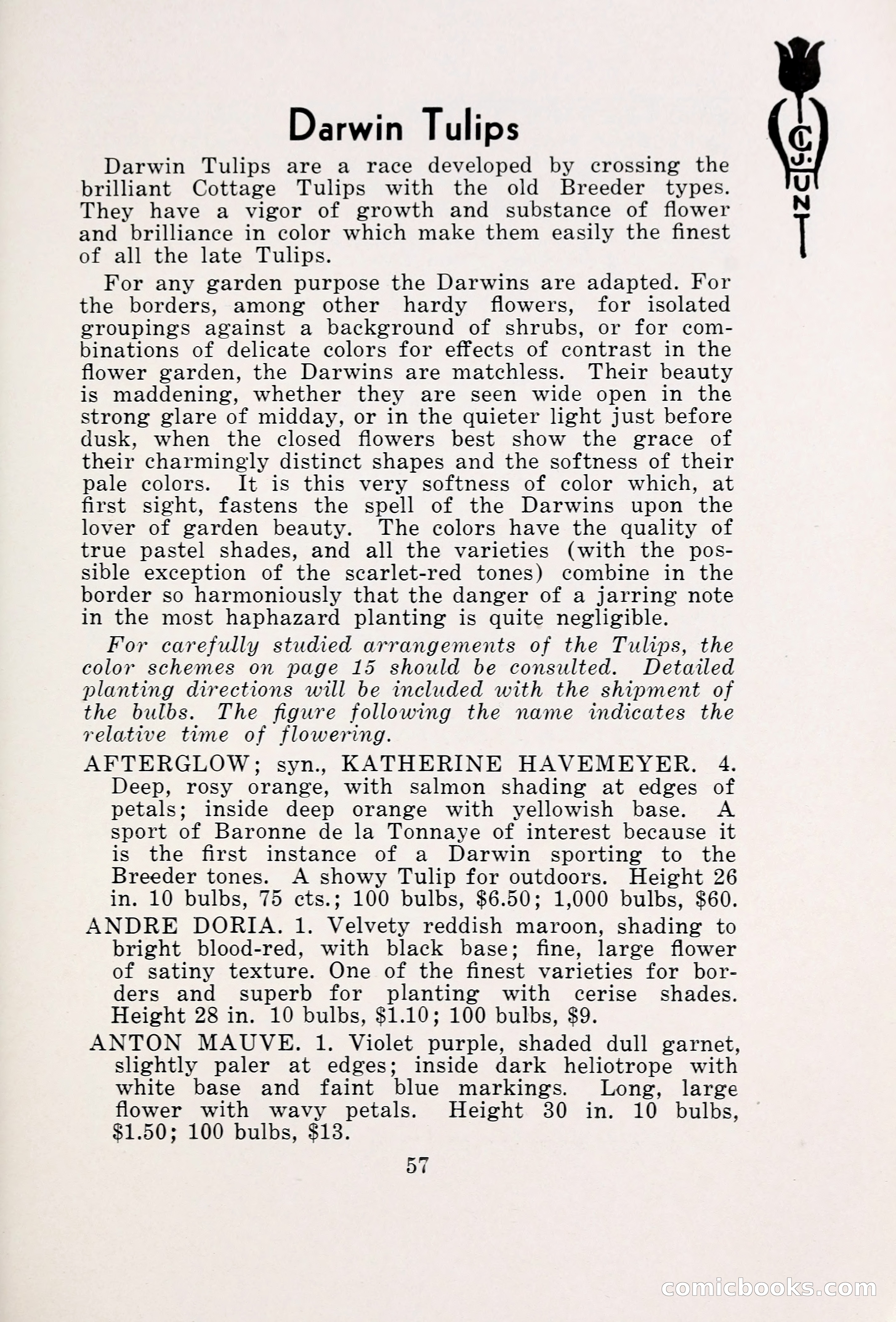 Blue Book of Bulbs, 1931 — page 62 of 142