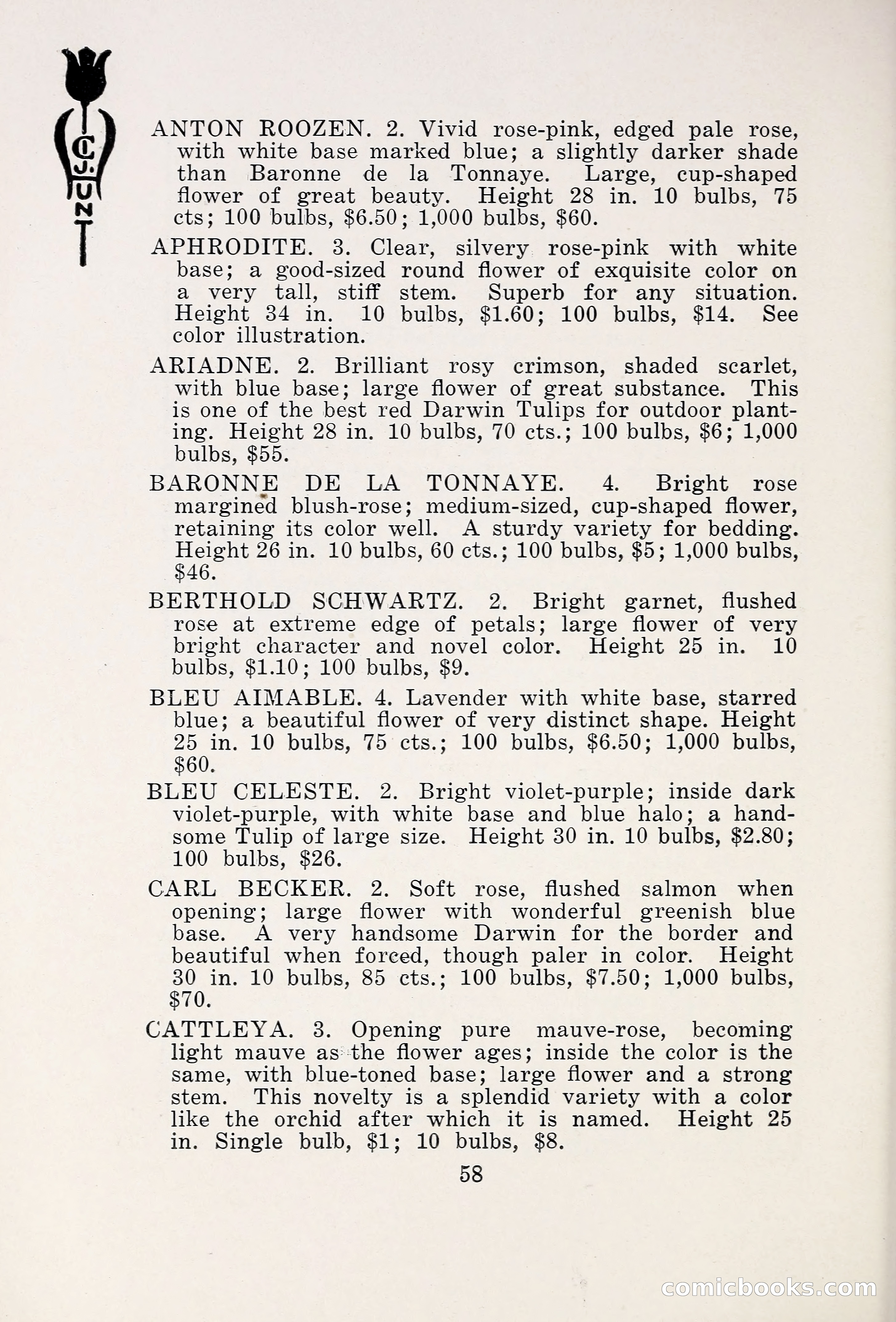 Blue Book of Bulbs, 1931 — page 63 of 142