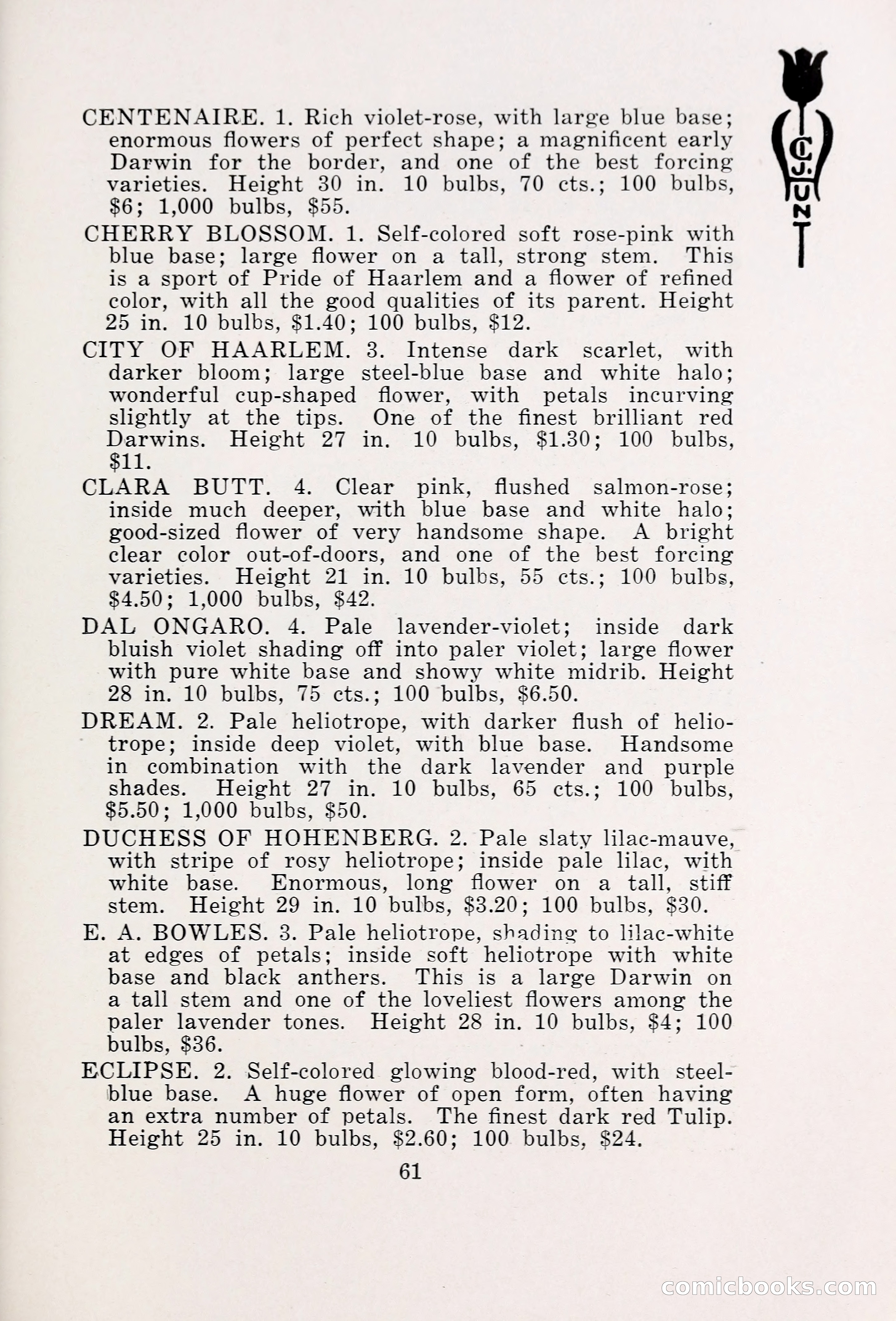 Blue Book of Bulbs, 1931 — page 66 of 142