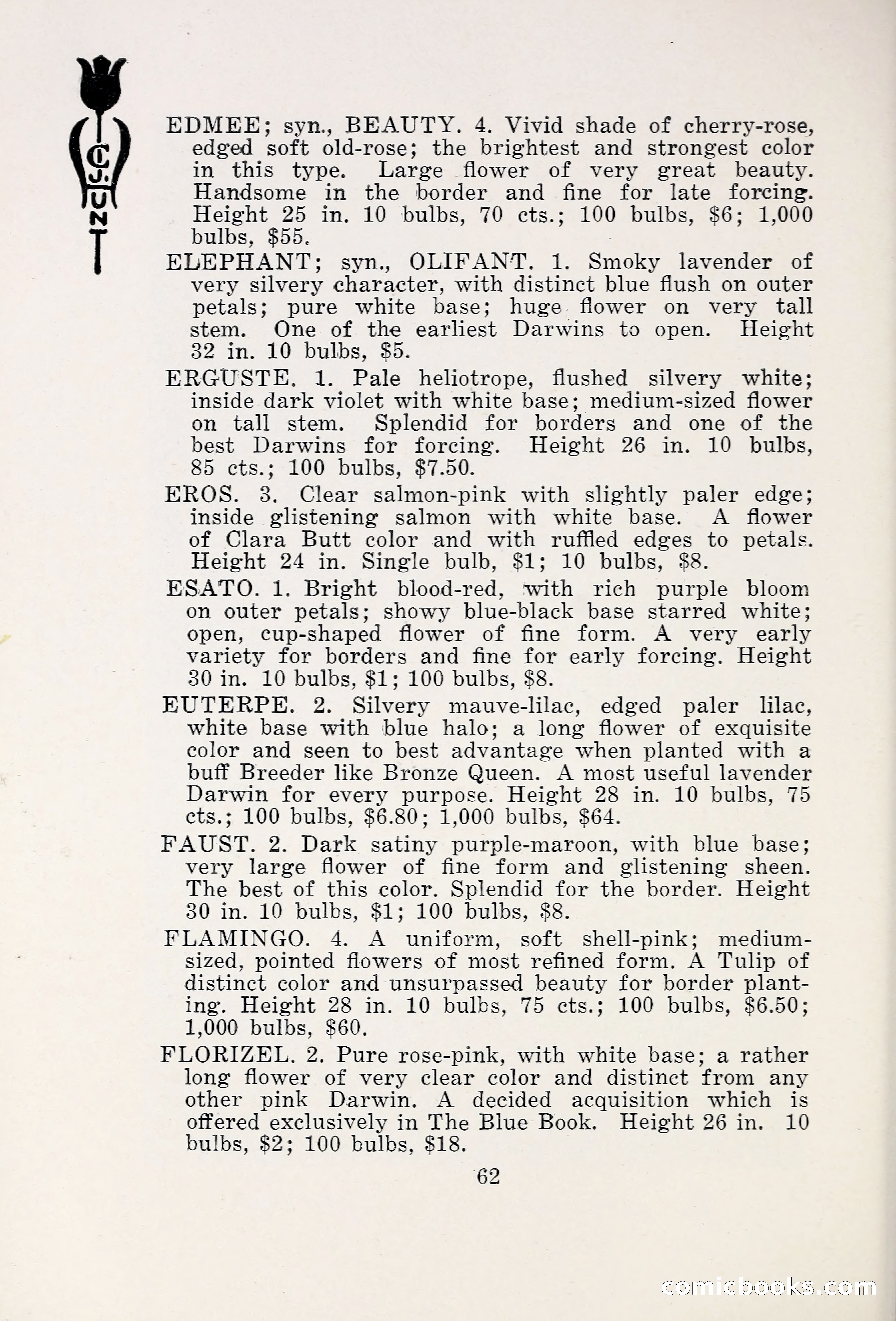 Blue Book of Bulbs, 1931 — page 67 of 142
