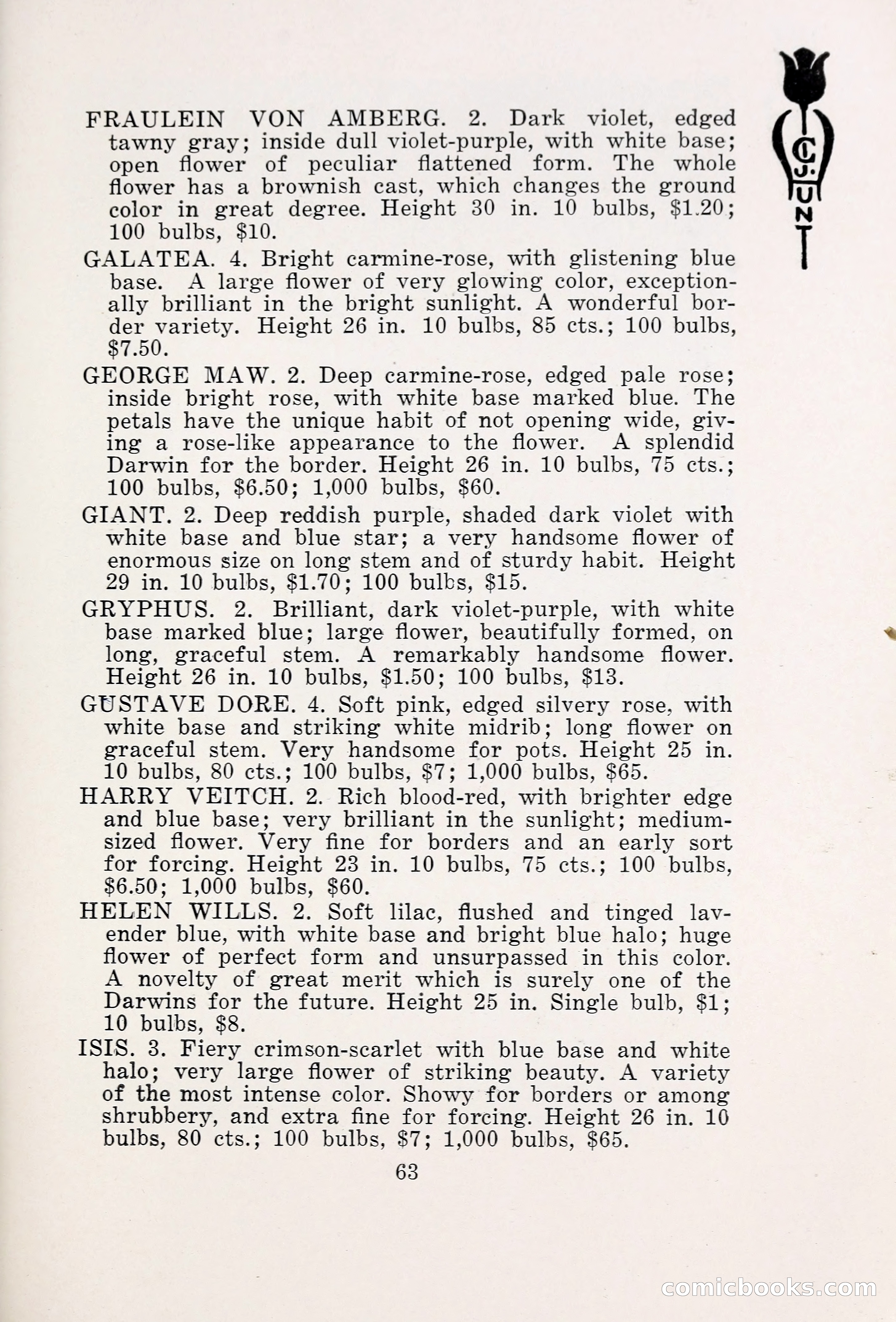 Blue Book of Bulbs, 1931 — page 68 of 142
