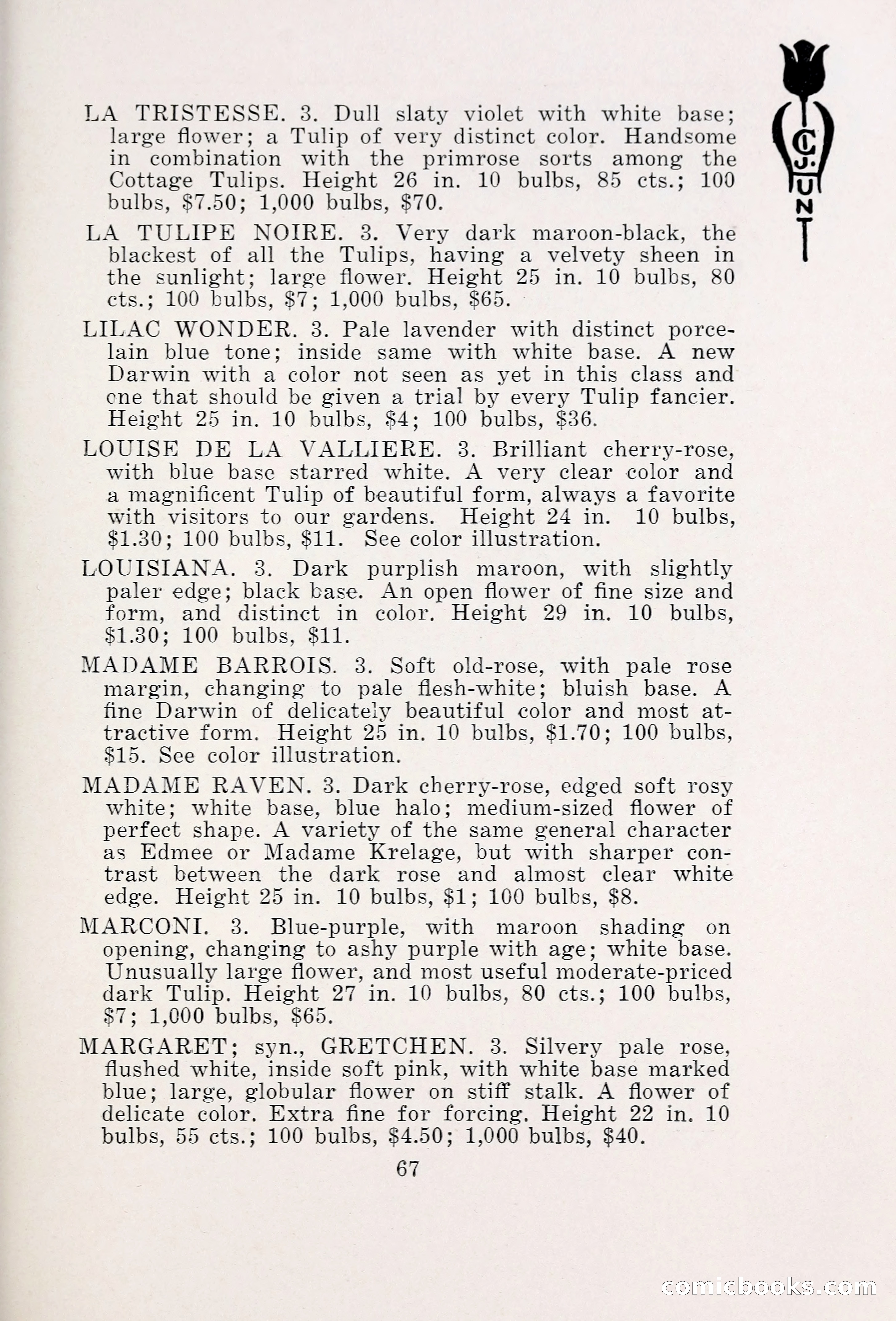 Blue Book of Bulbs, 1931 — page 72 of 142