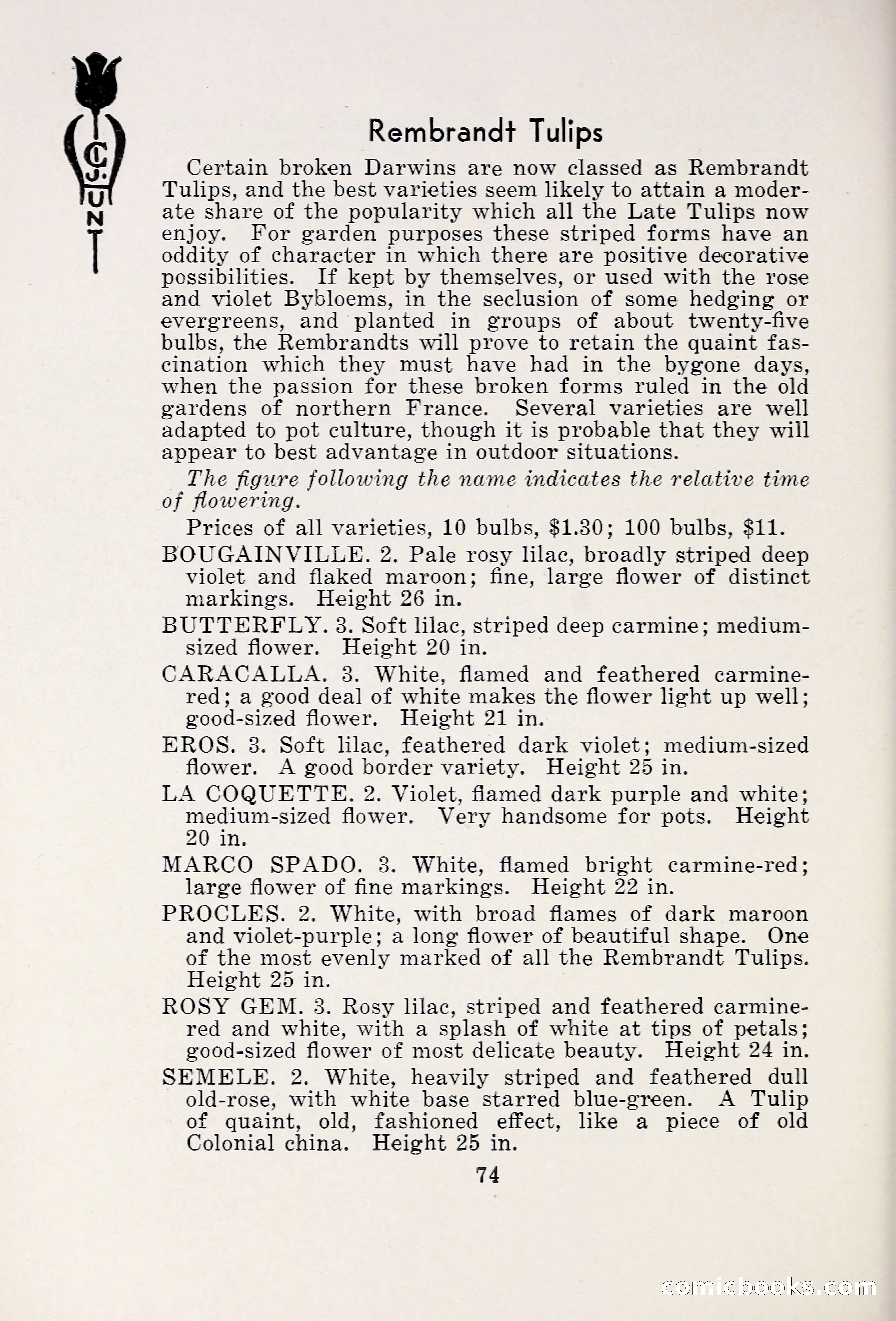 Blue Book of Bulbs, 1931 — page 79 of 142
