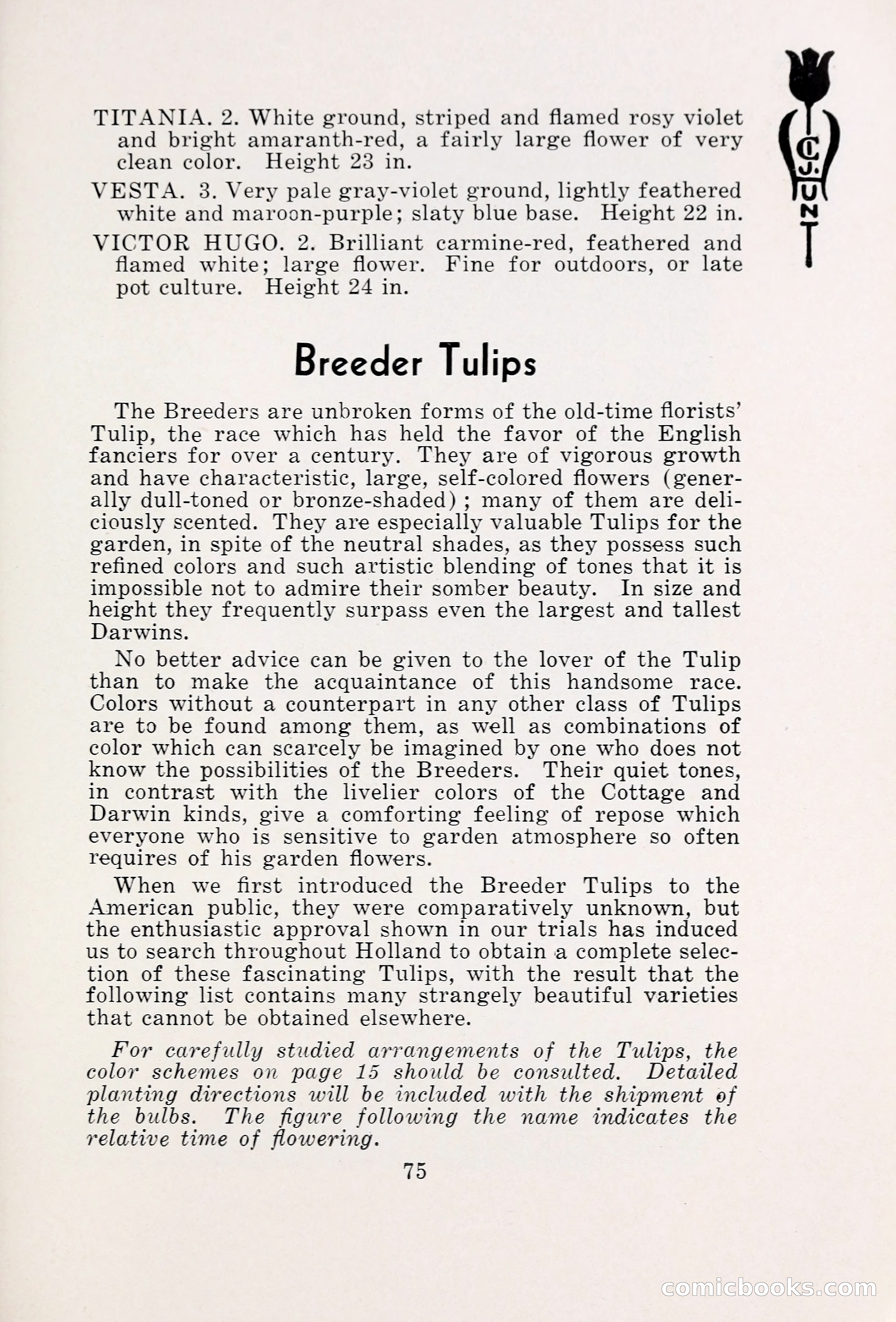 Blue Book of Bulbs, 1931 — page 80 of 142