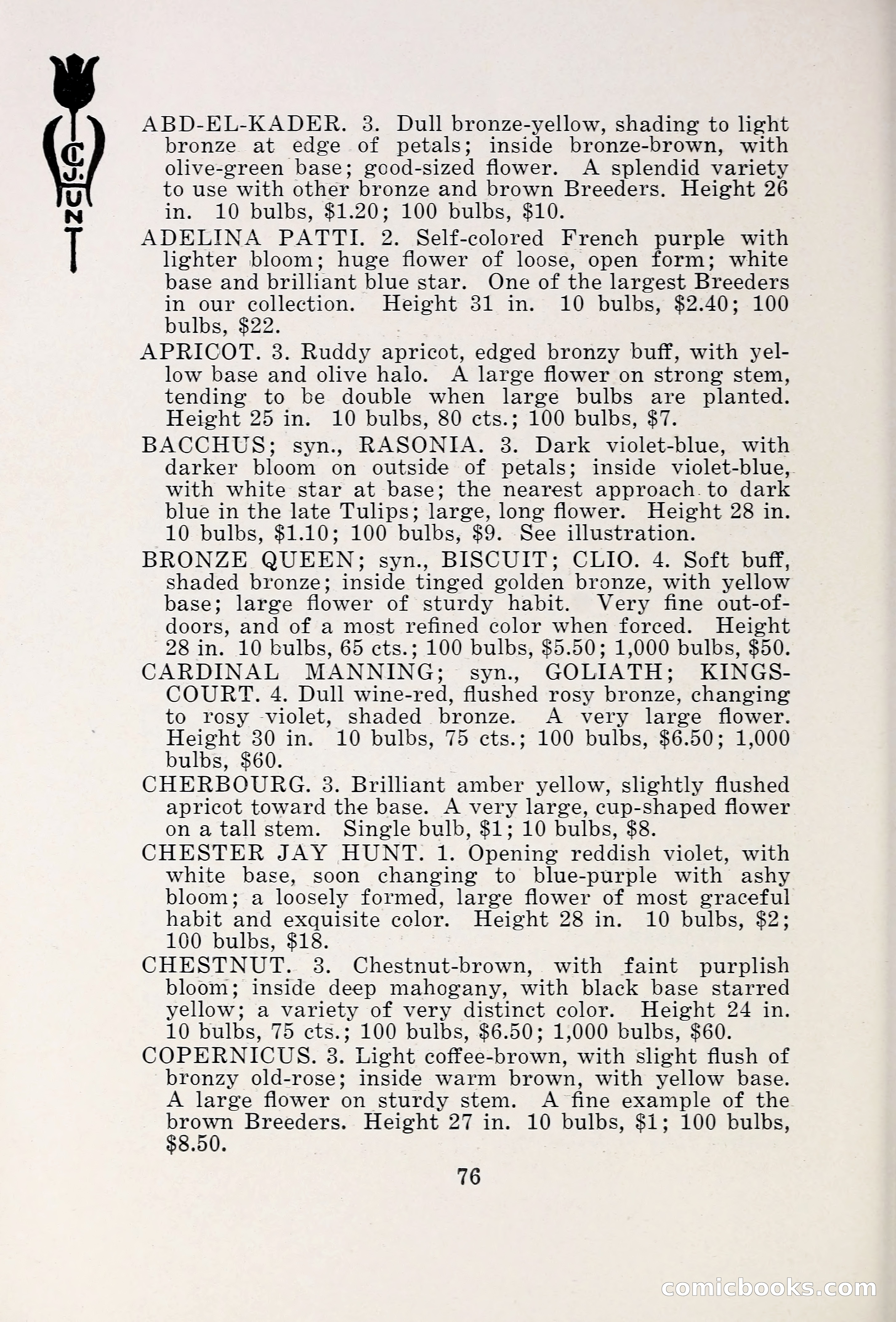 Blue Book of Bulbs, 1931 — page 81 of 142