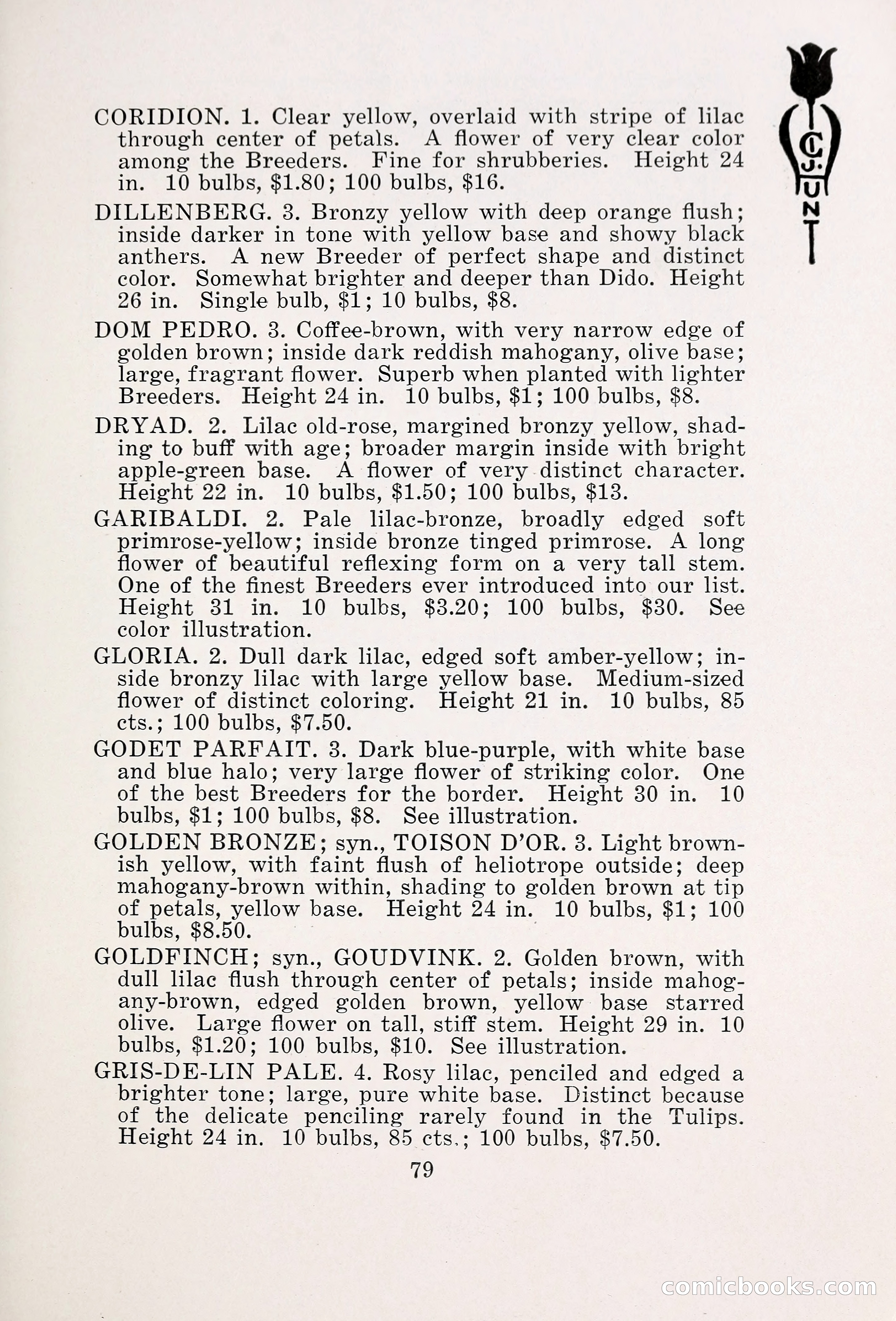 Blue Book of Bulbs, 1931 — page 84 of 142
