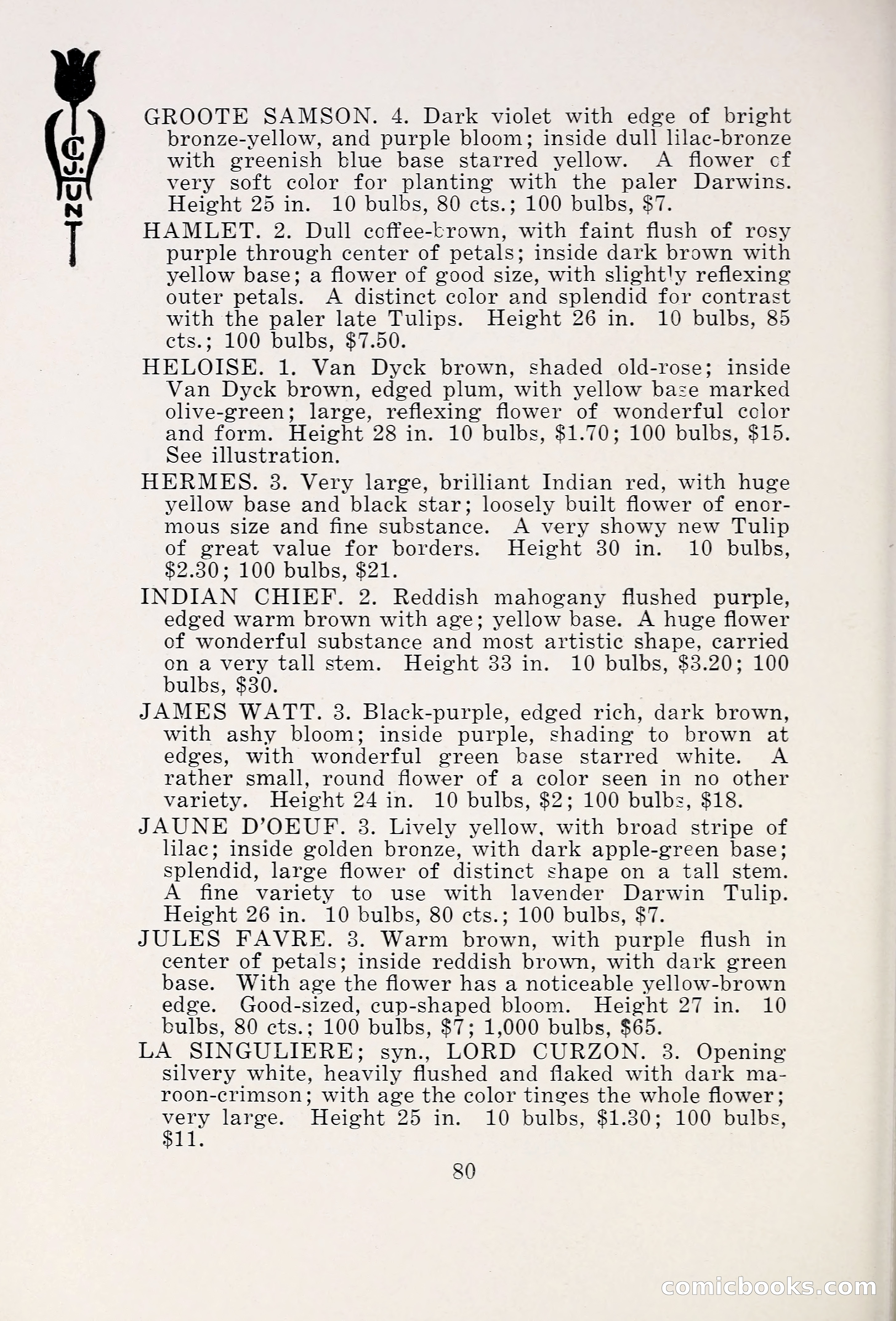 Blue Book of Bulbs, 1931 — page 85 of 142