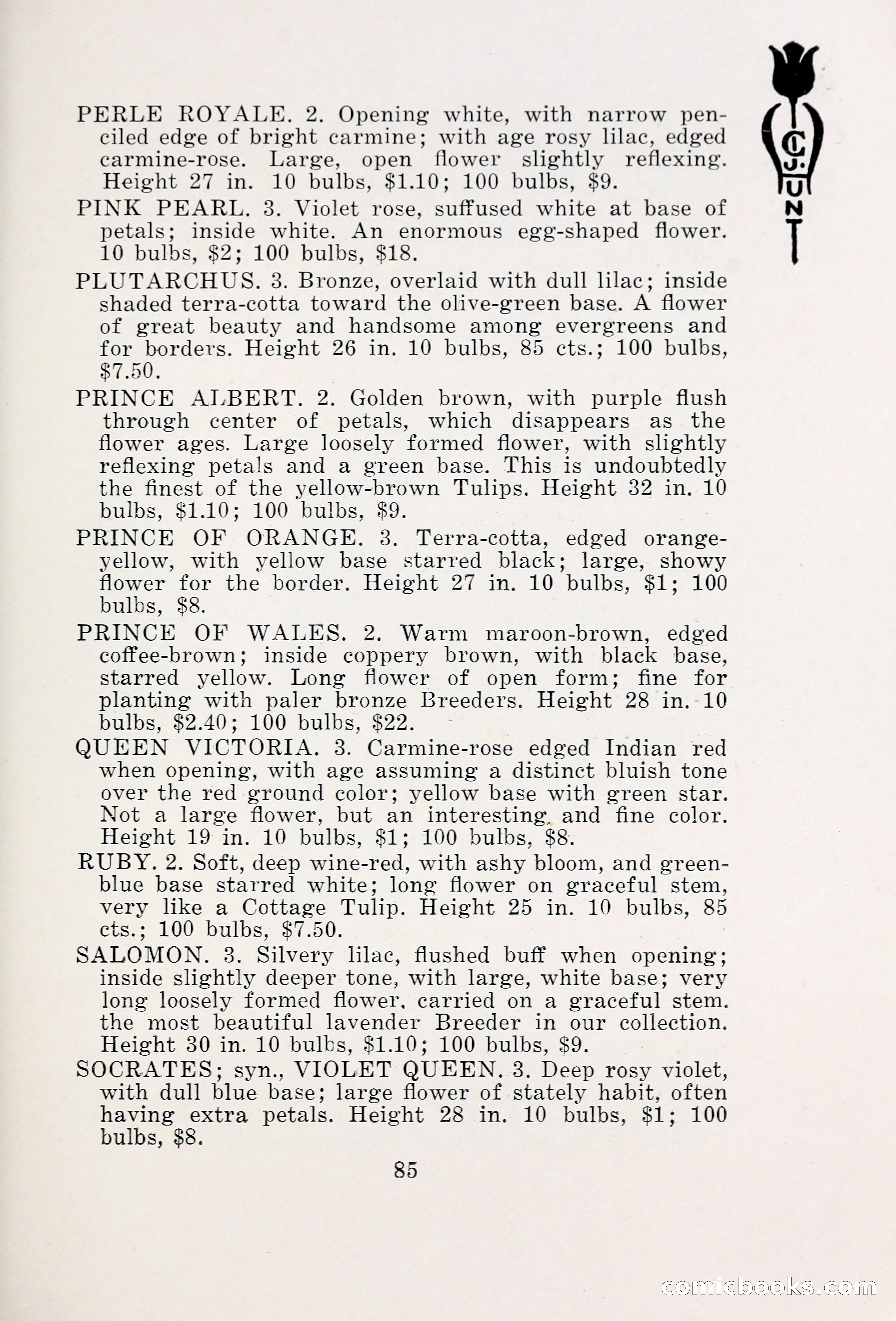 Blue Book of Bulbs, 1931 — page 90 of 142