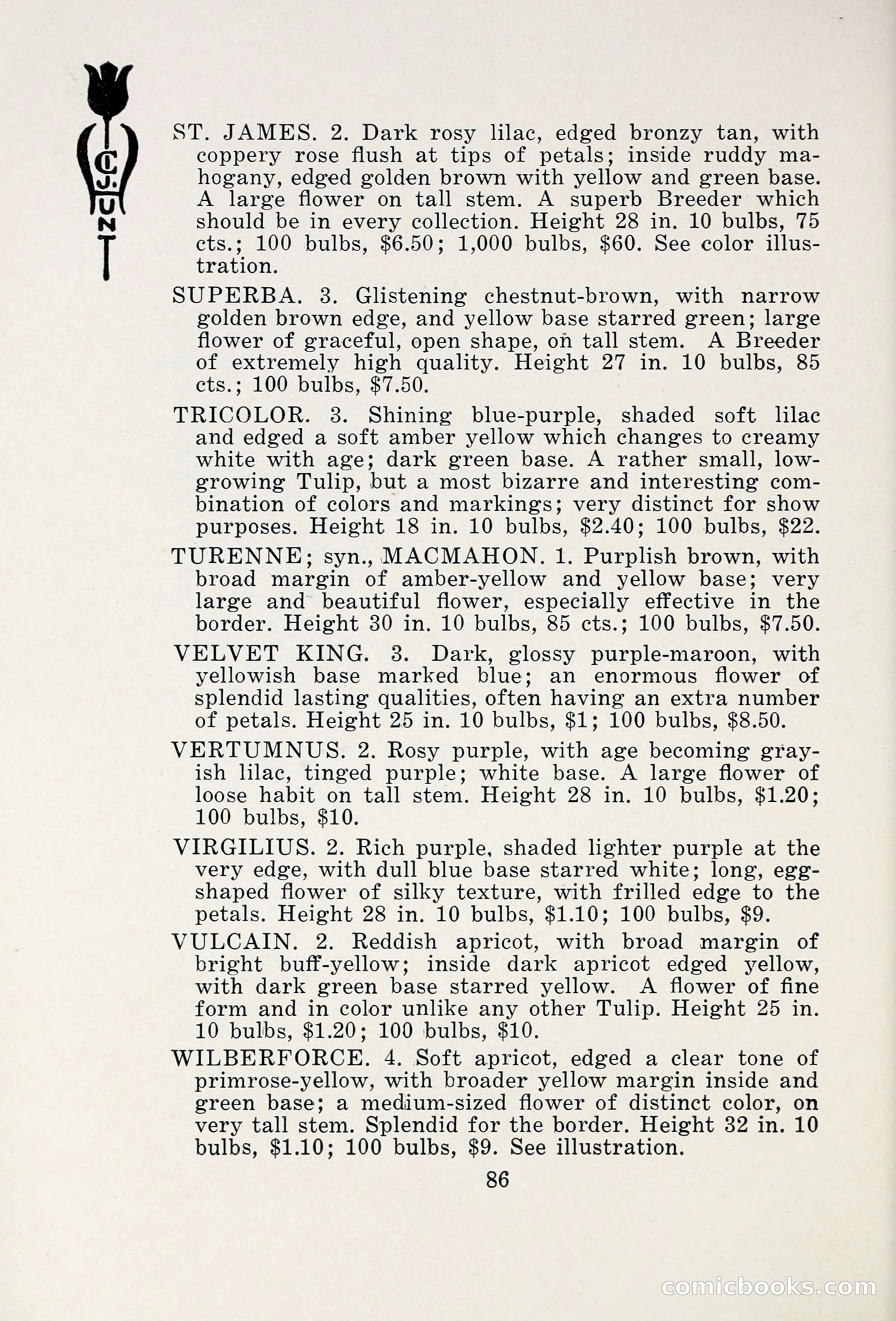Blue Book of Bulbs, 1931 — page 91 of 142