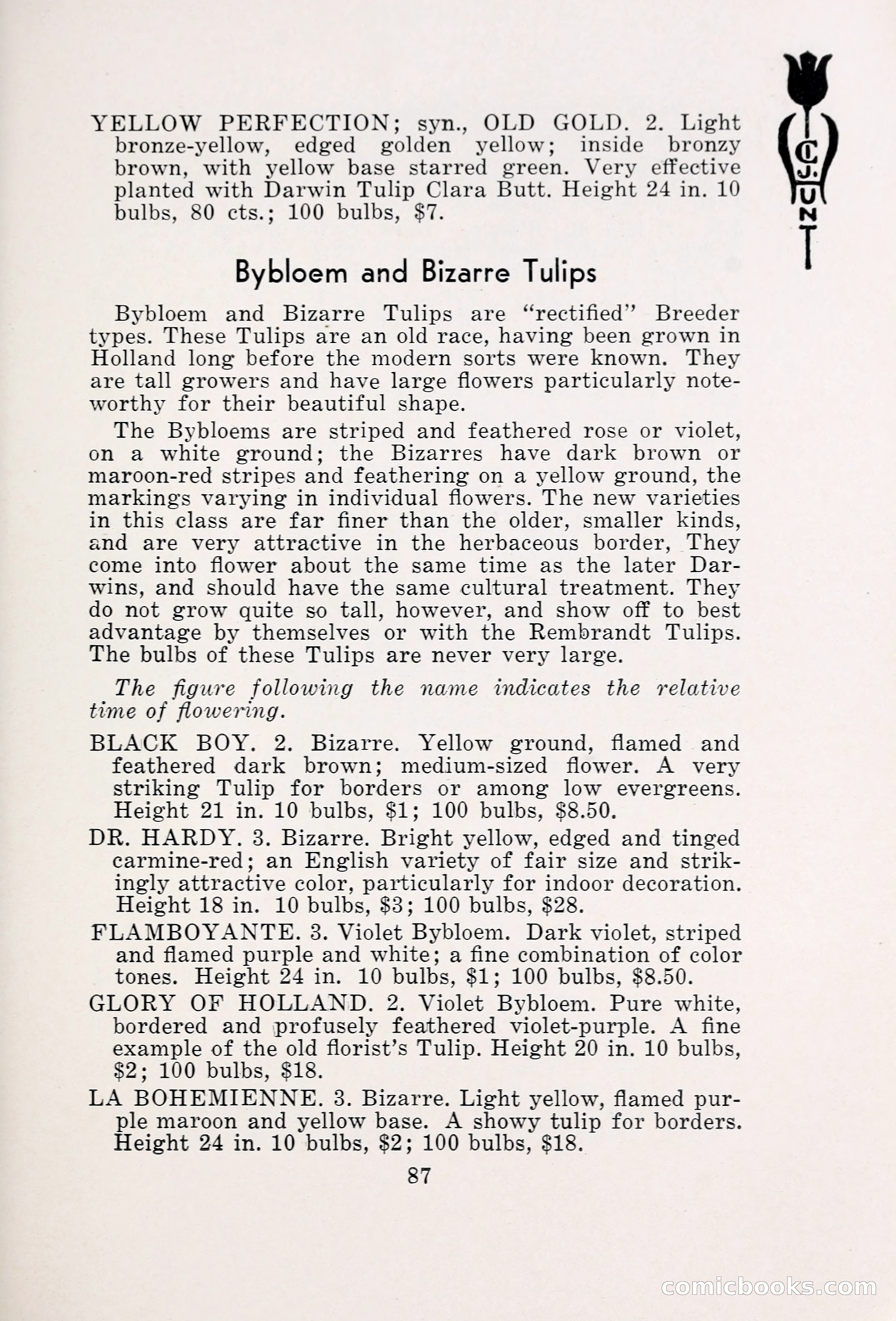 Blue Book of Bulbs, 1931 — page 92 of 142