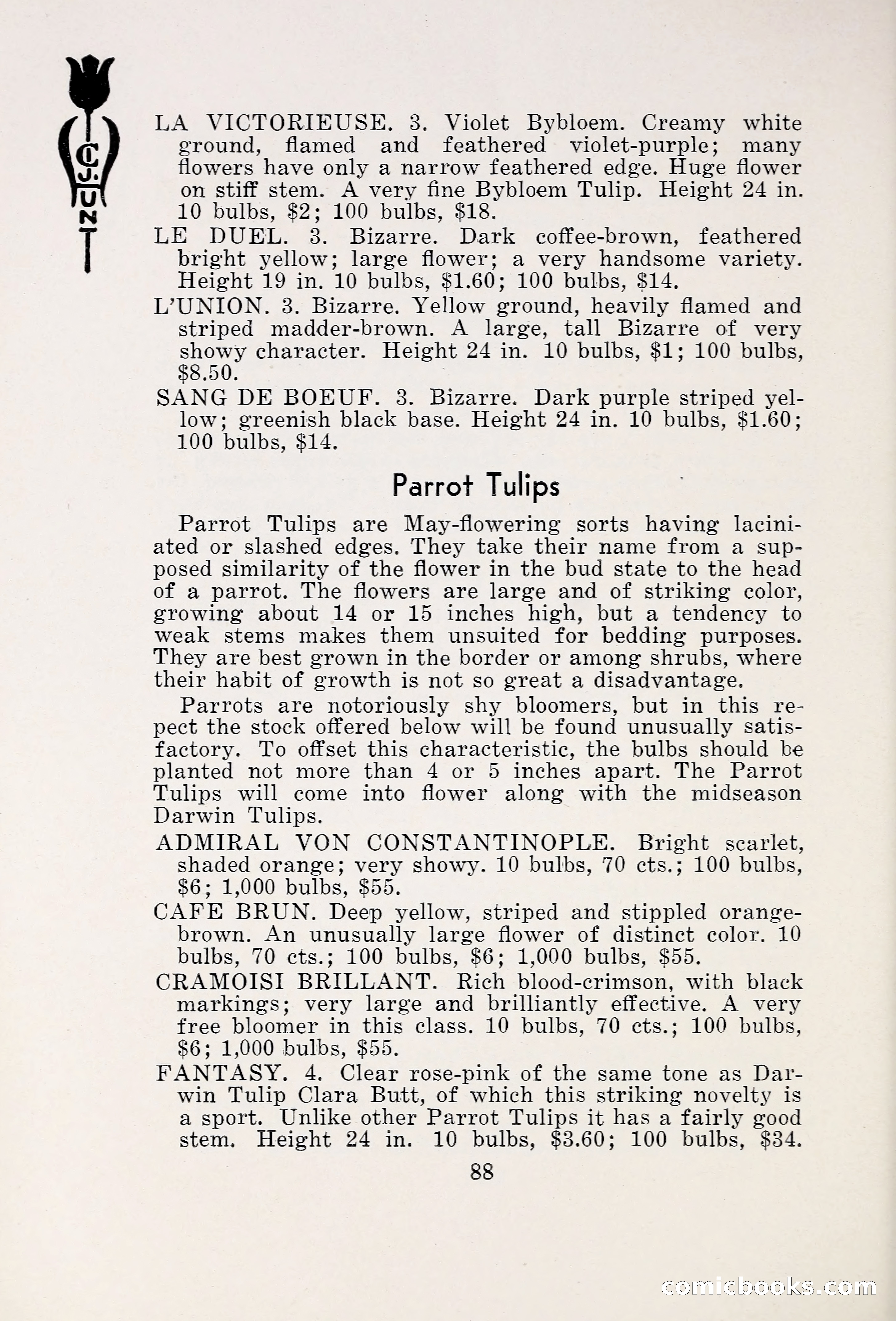 Blue Book of Bulbs, 1931 — page 93 of 142
