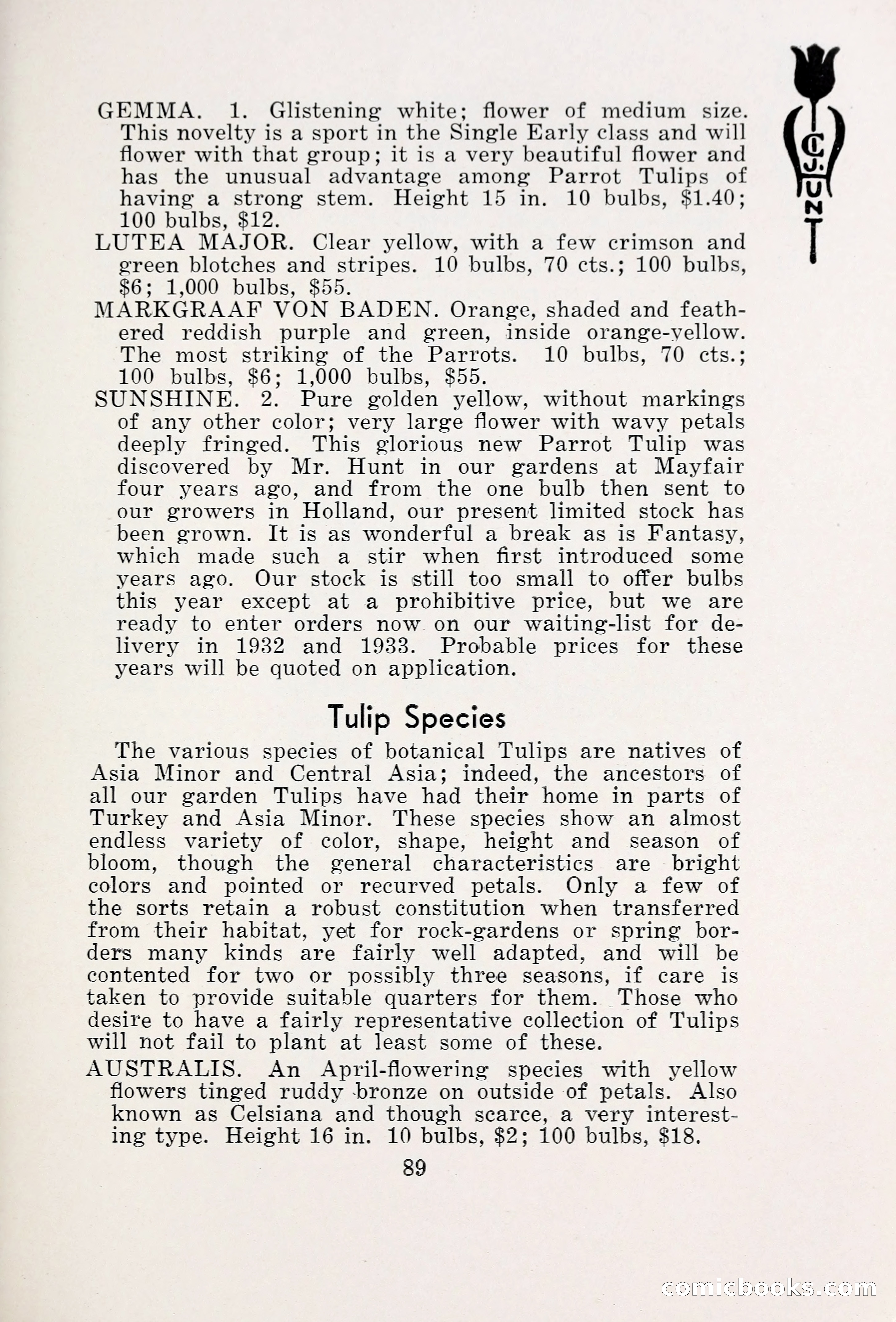 Blue Book of Bulbs, 1931 — page 94 of 142