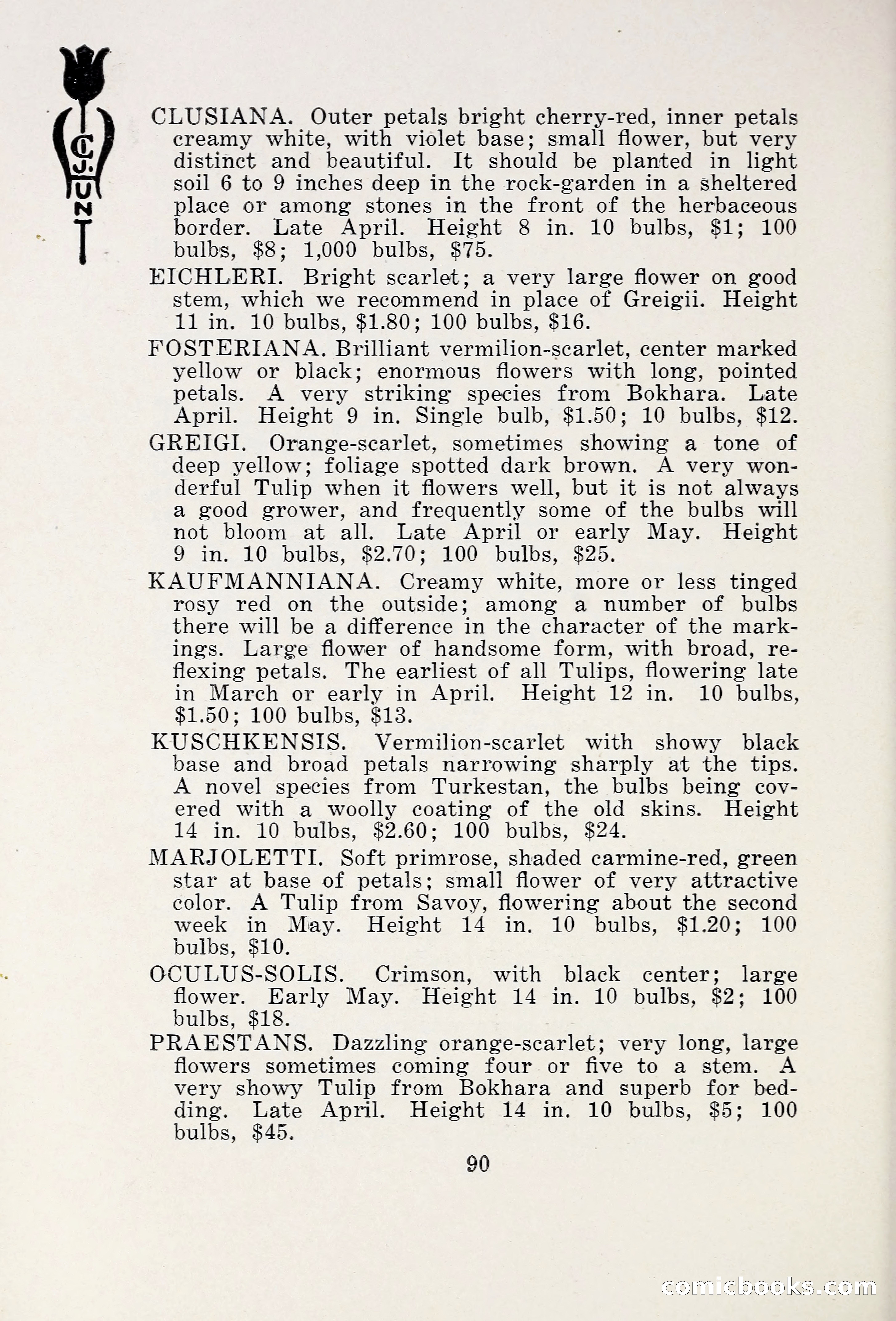 Blue Book of Bulbs, 1931 — page 95 of 142