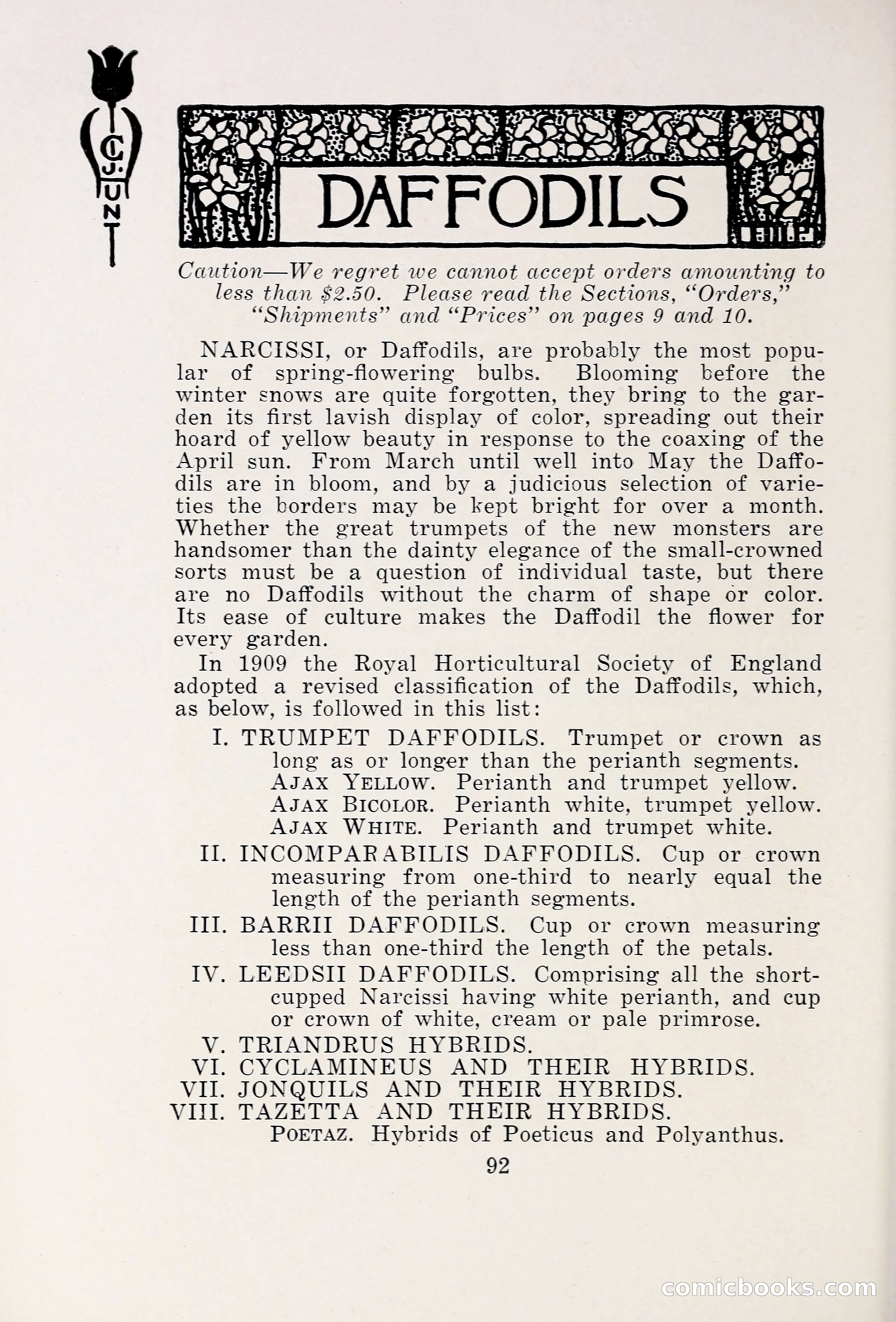 Blue Book of Bulbs, 1931 — page 97 of 142