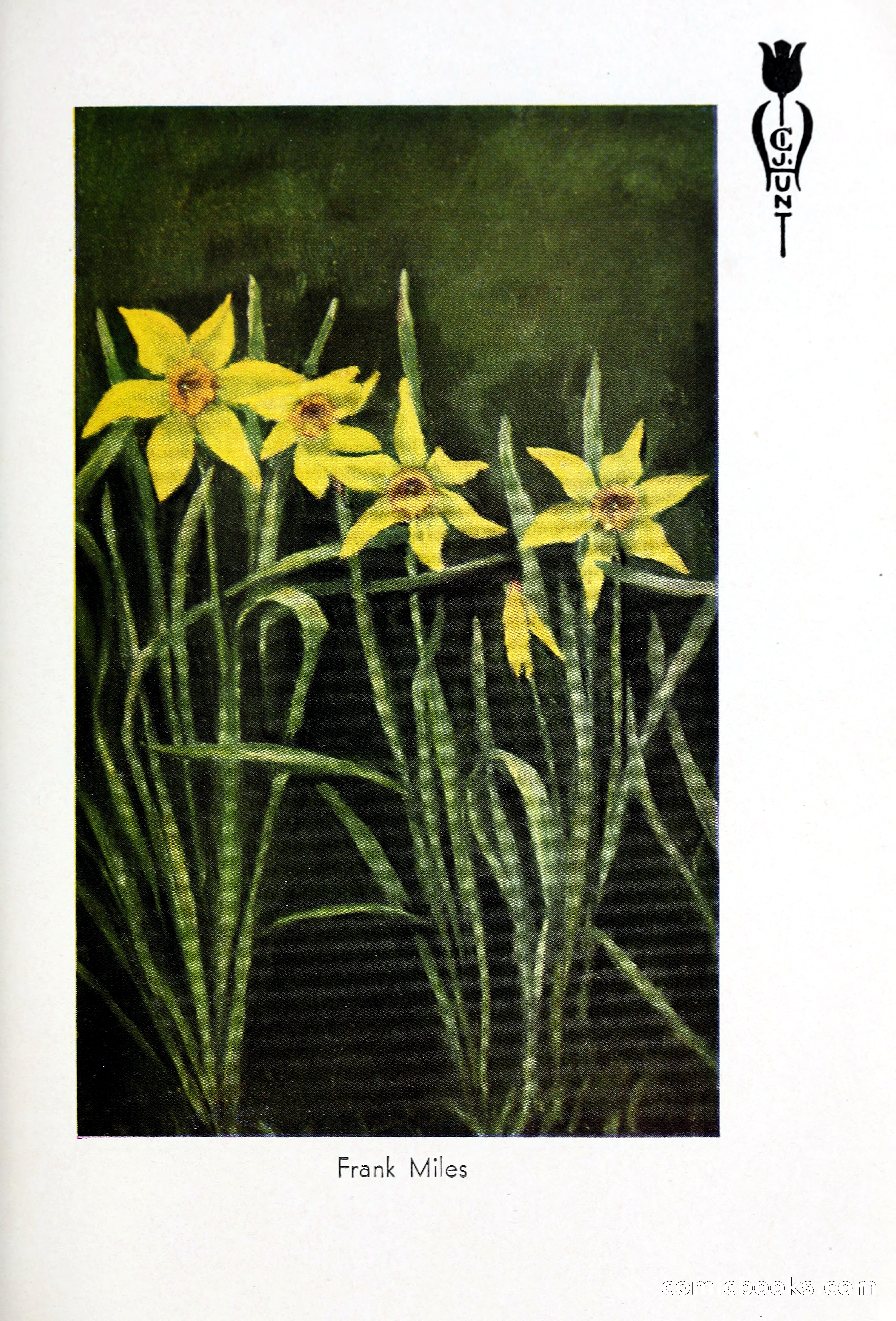 Blue Book of Bulbs, 1931 — page 102 of 142