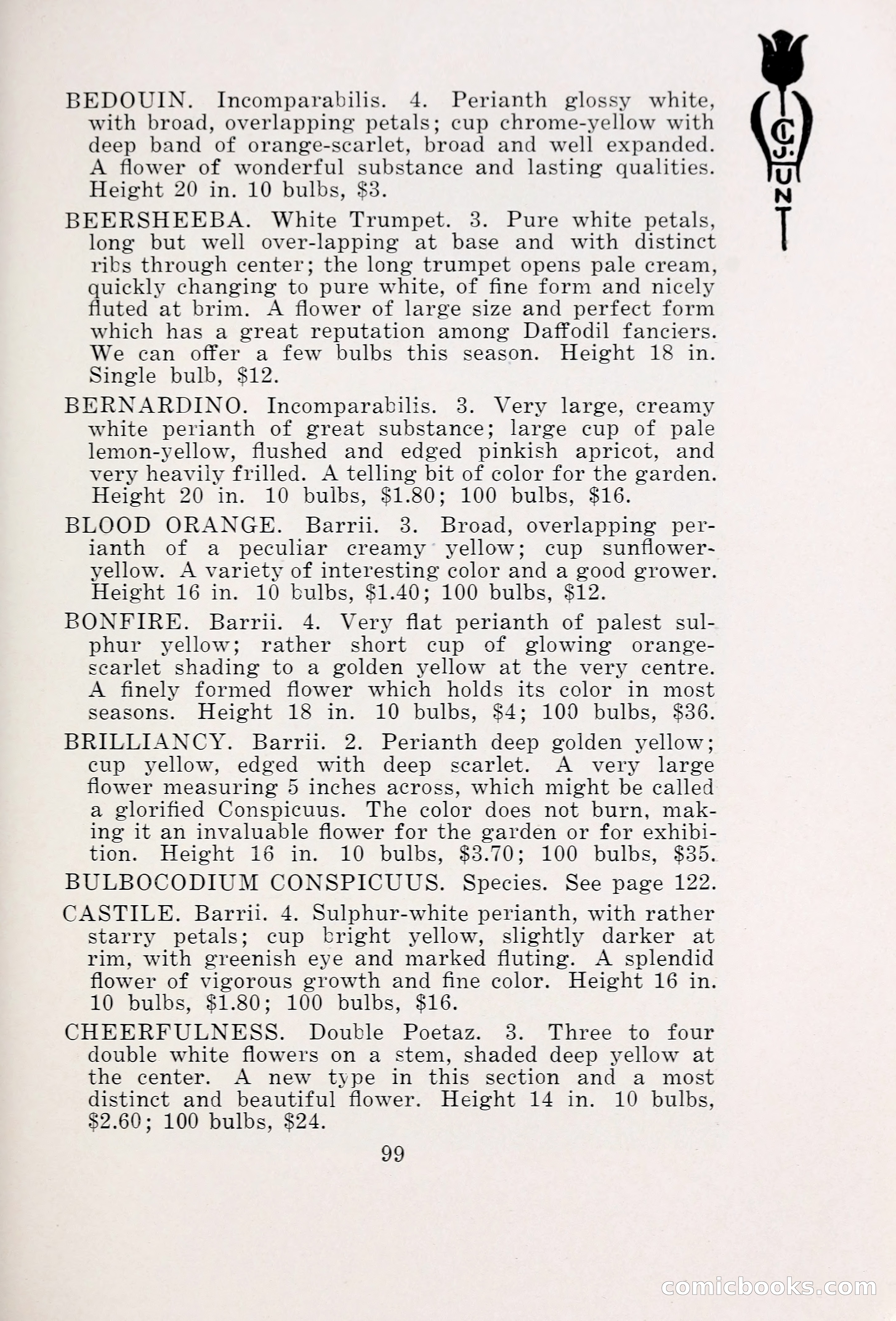 Blue Book of Bulbs, 1931 — page 104 of 142