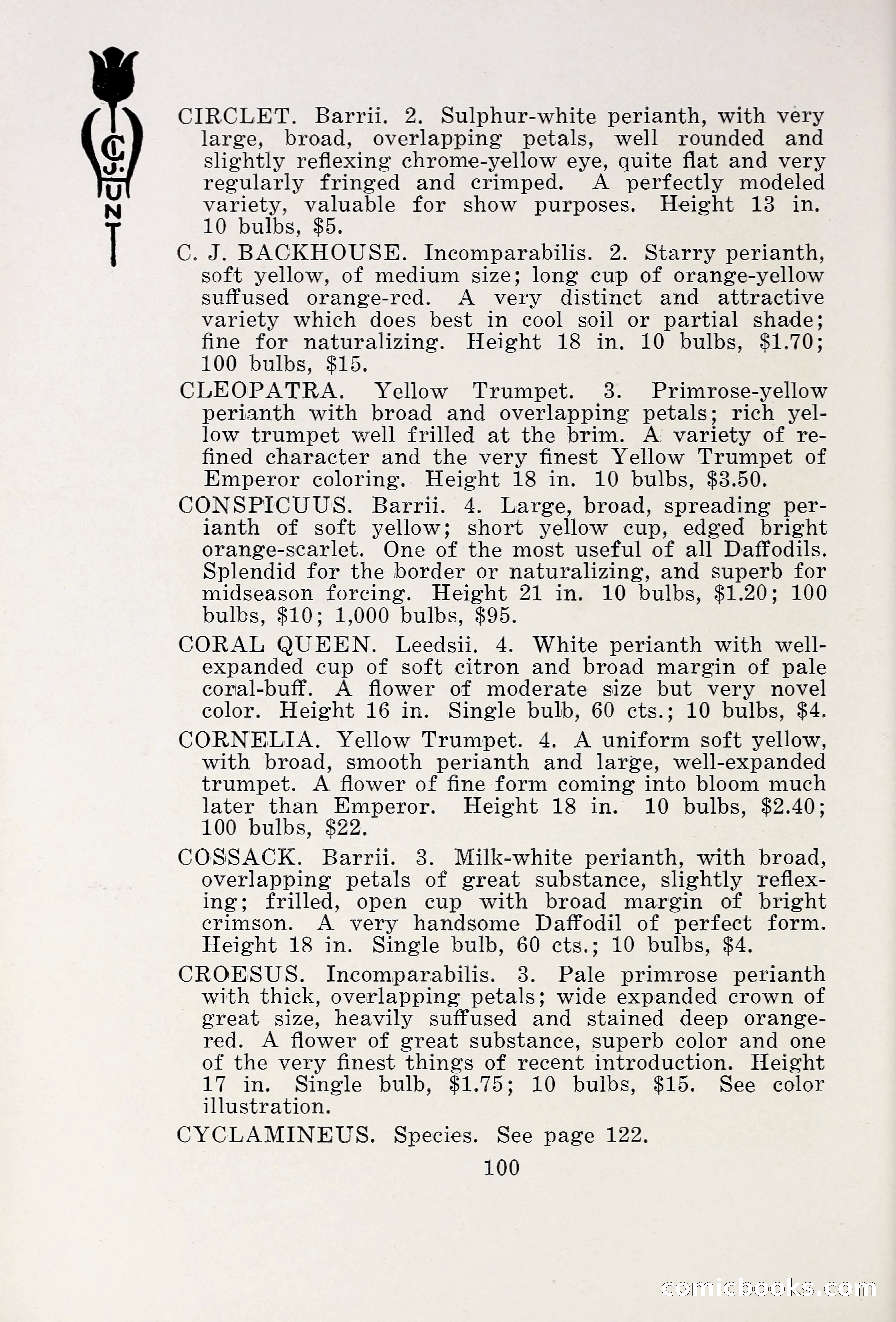 Blue Book of Bulbs, 1931 — page 105 of 142