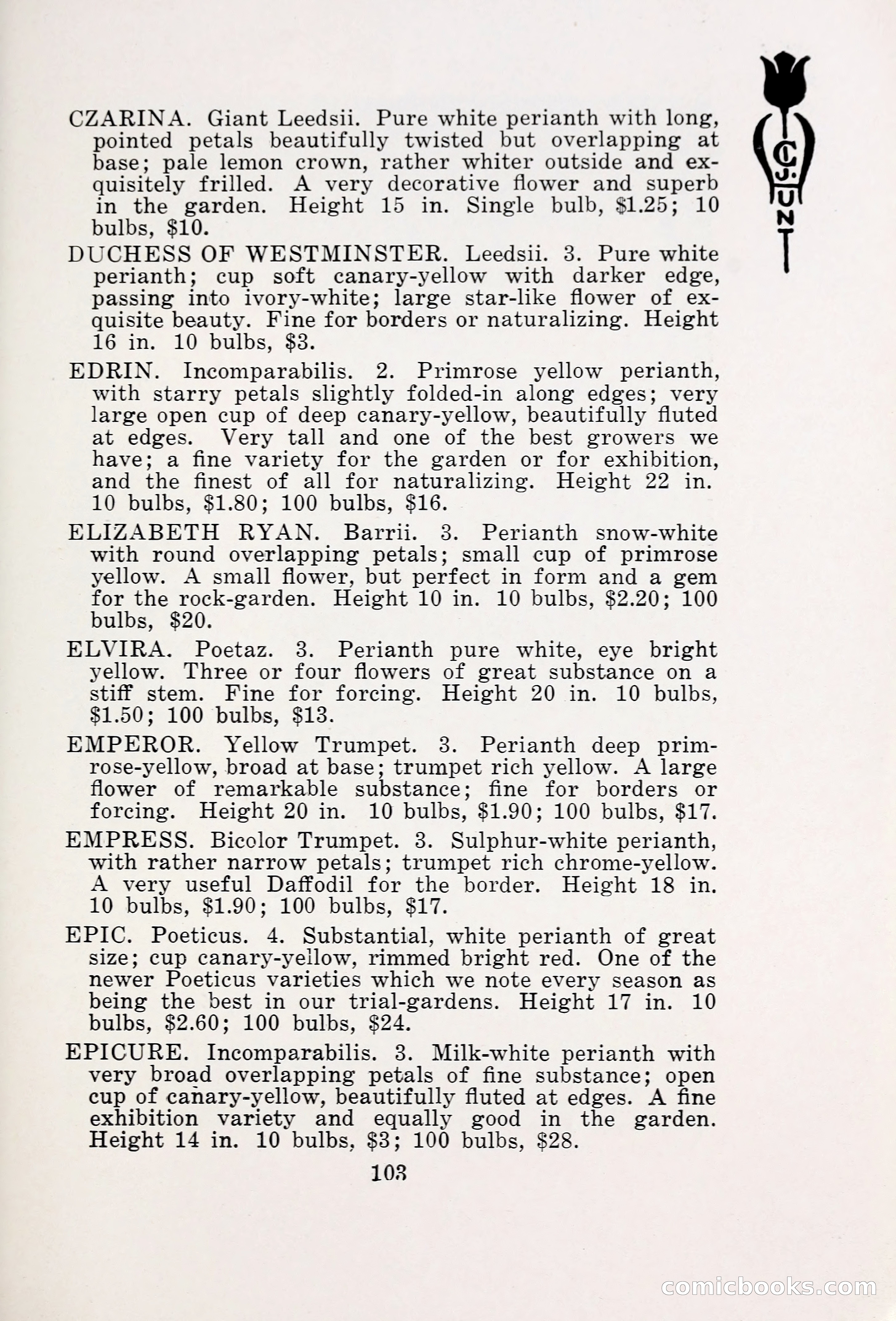 Blue Book of Bulbs, 1931 — page 108 of 142
