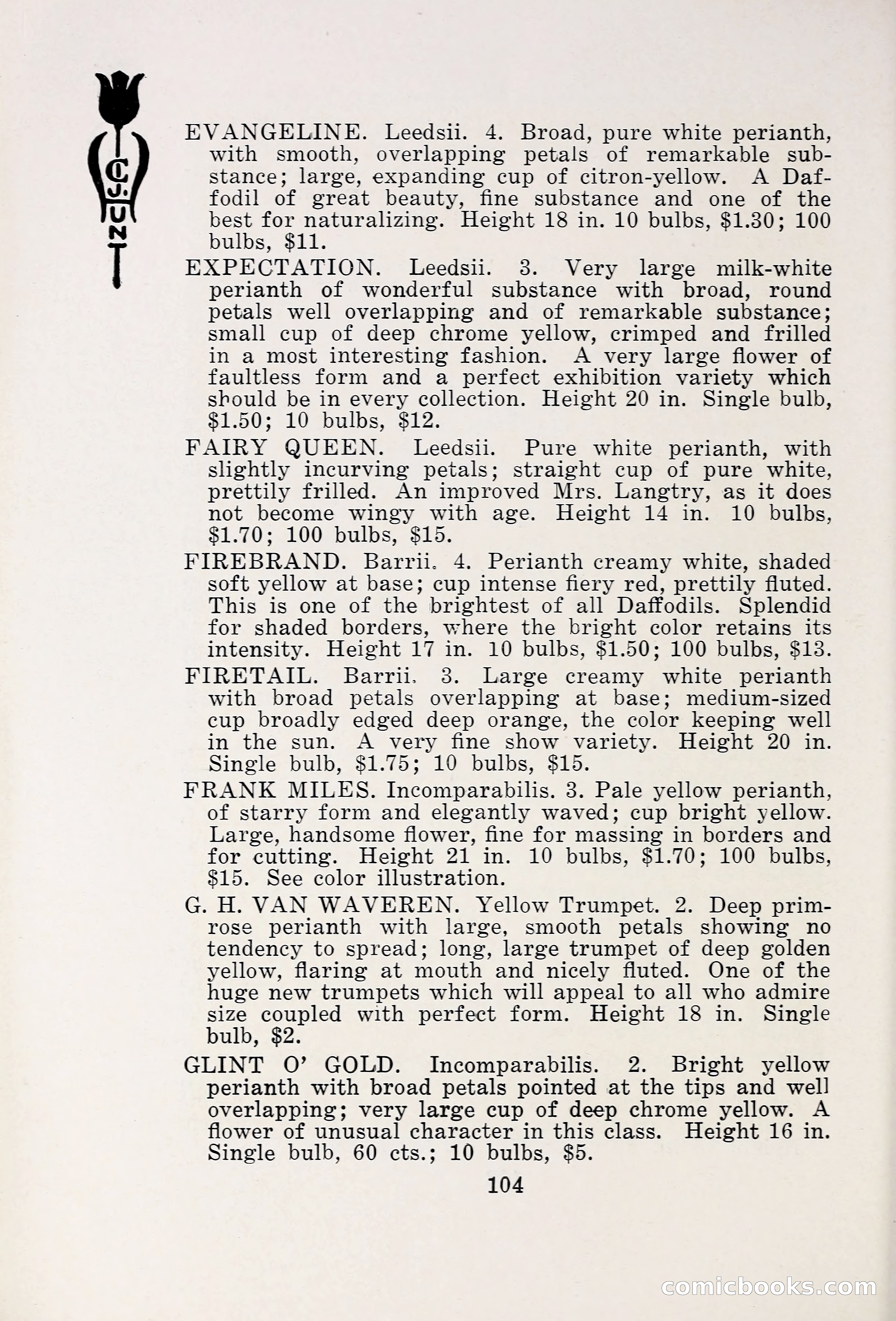 Blue Book of Bulbs, 1931 — page 109 of 142