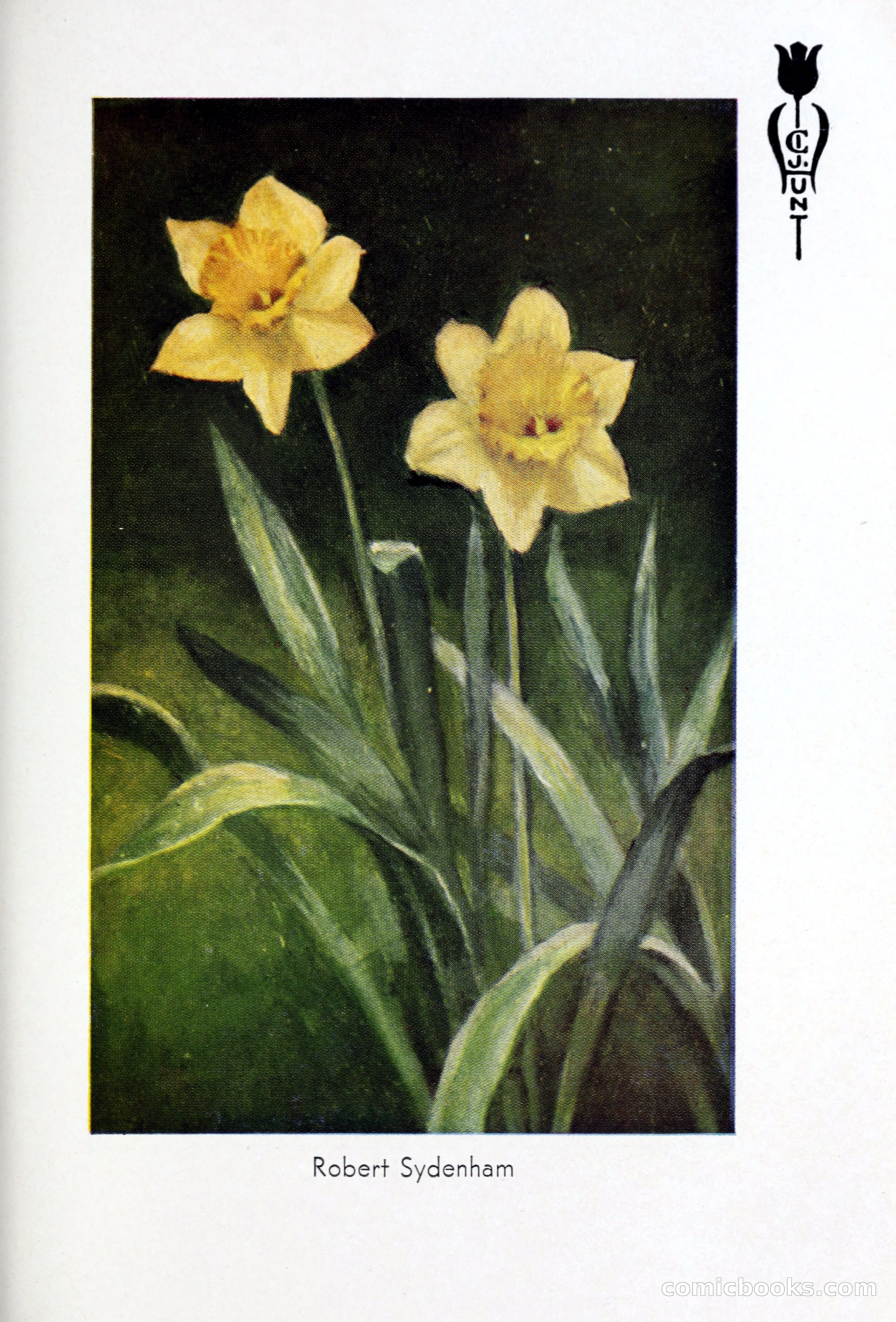 Blue Book of Bulbs, 1931 — page 114 of 142