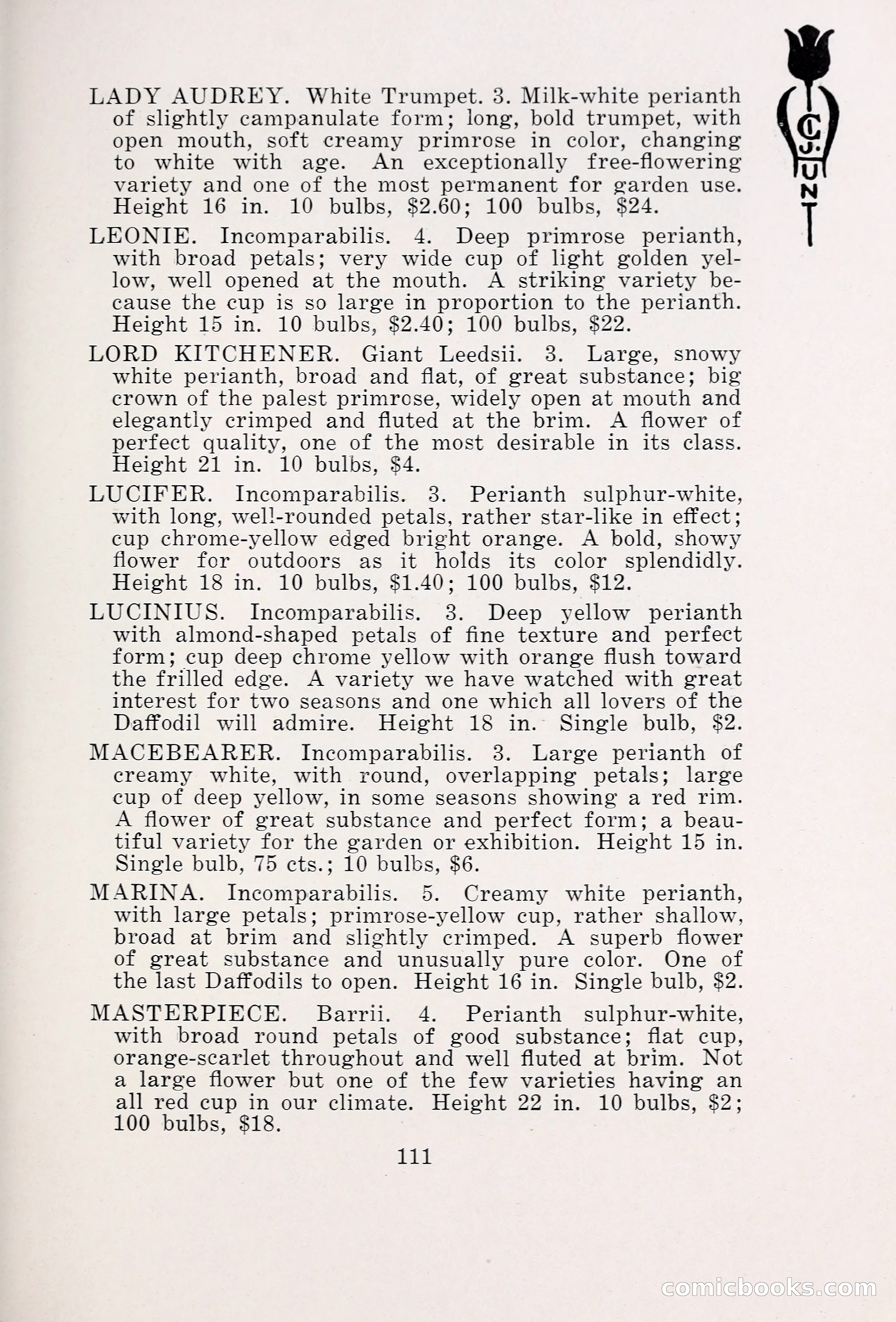 Blue Book of Bulbs, 1931 — page 116 of 142