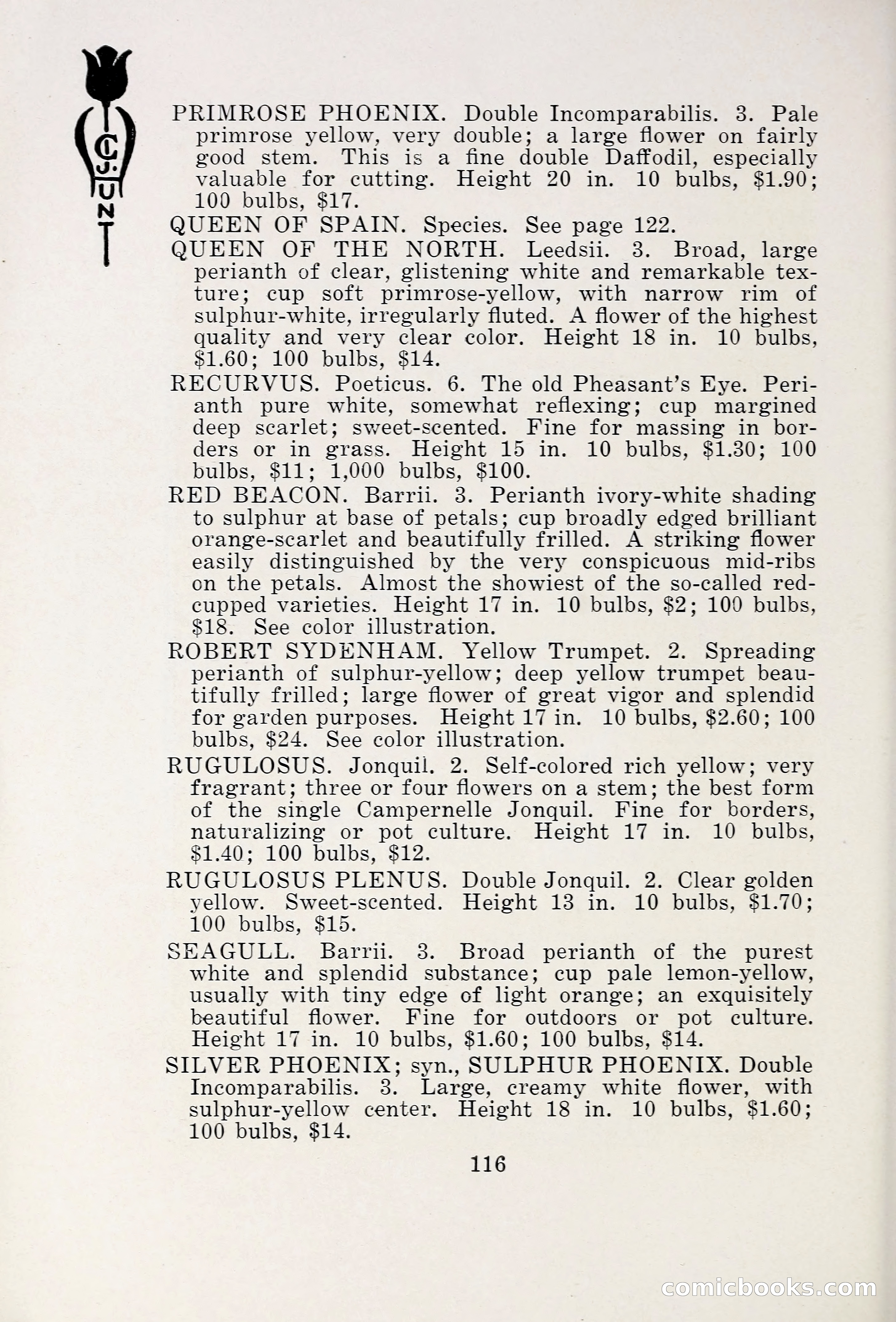 Blue Book of Bulbs, 1931 — page 121 of 142