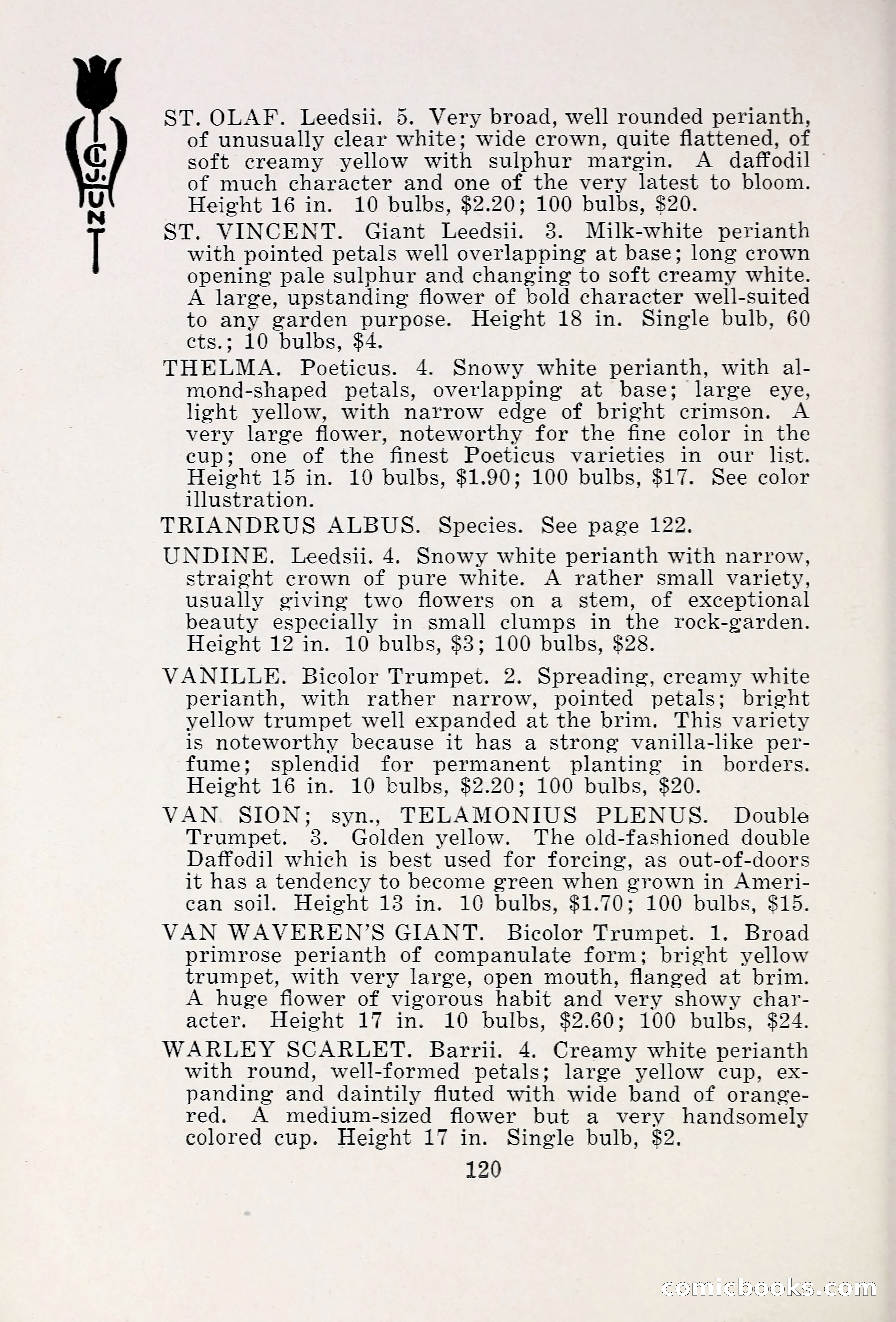 Blue Book of Bulbs, 1931 — page 125 of 142