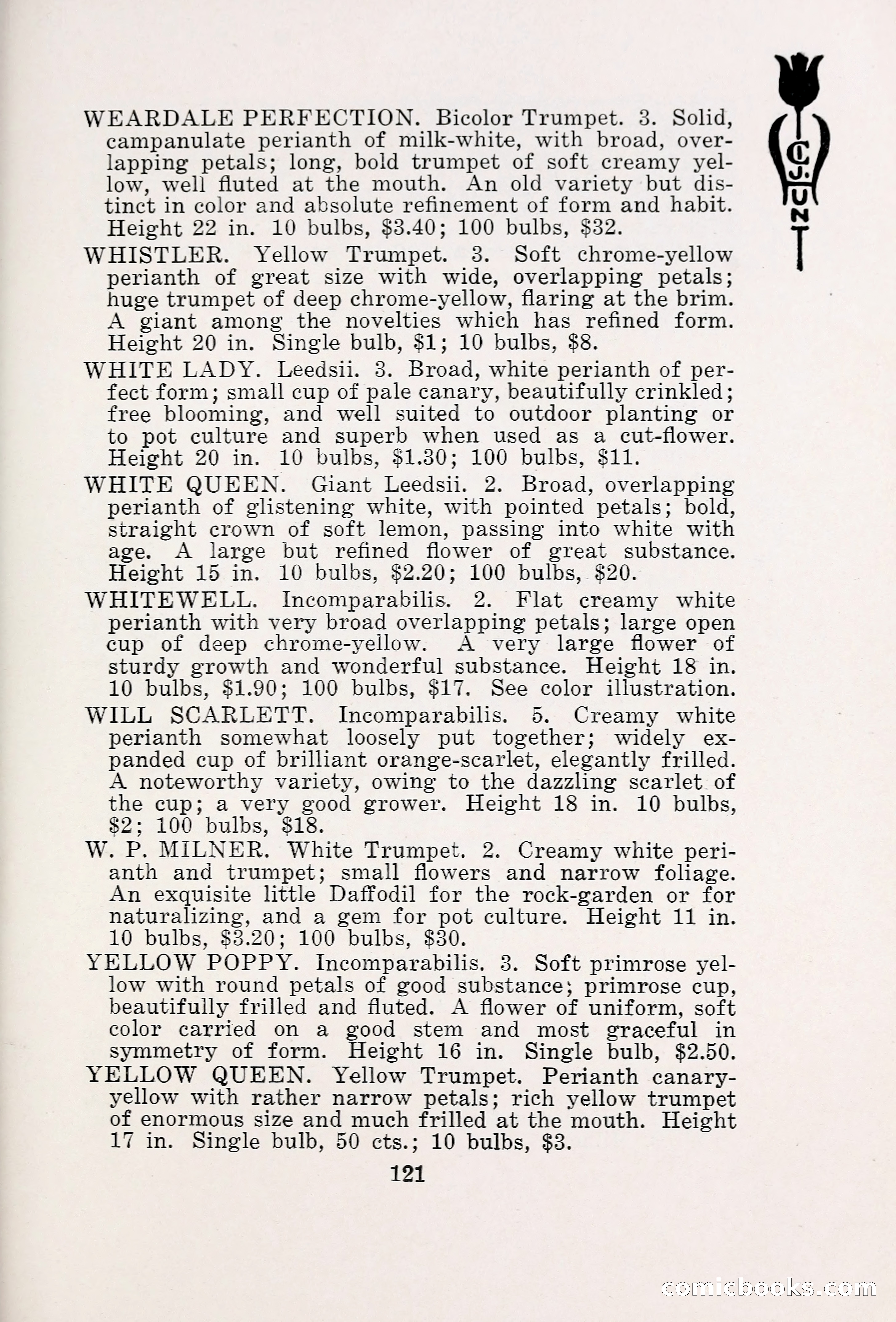Blue Book of Bulbs, 1931 — page 126 of 142