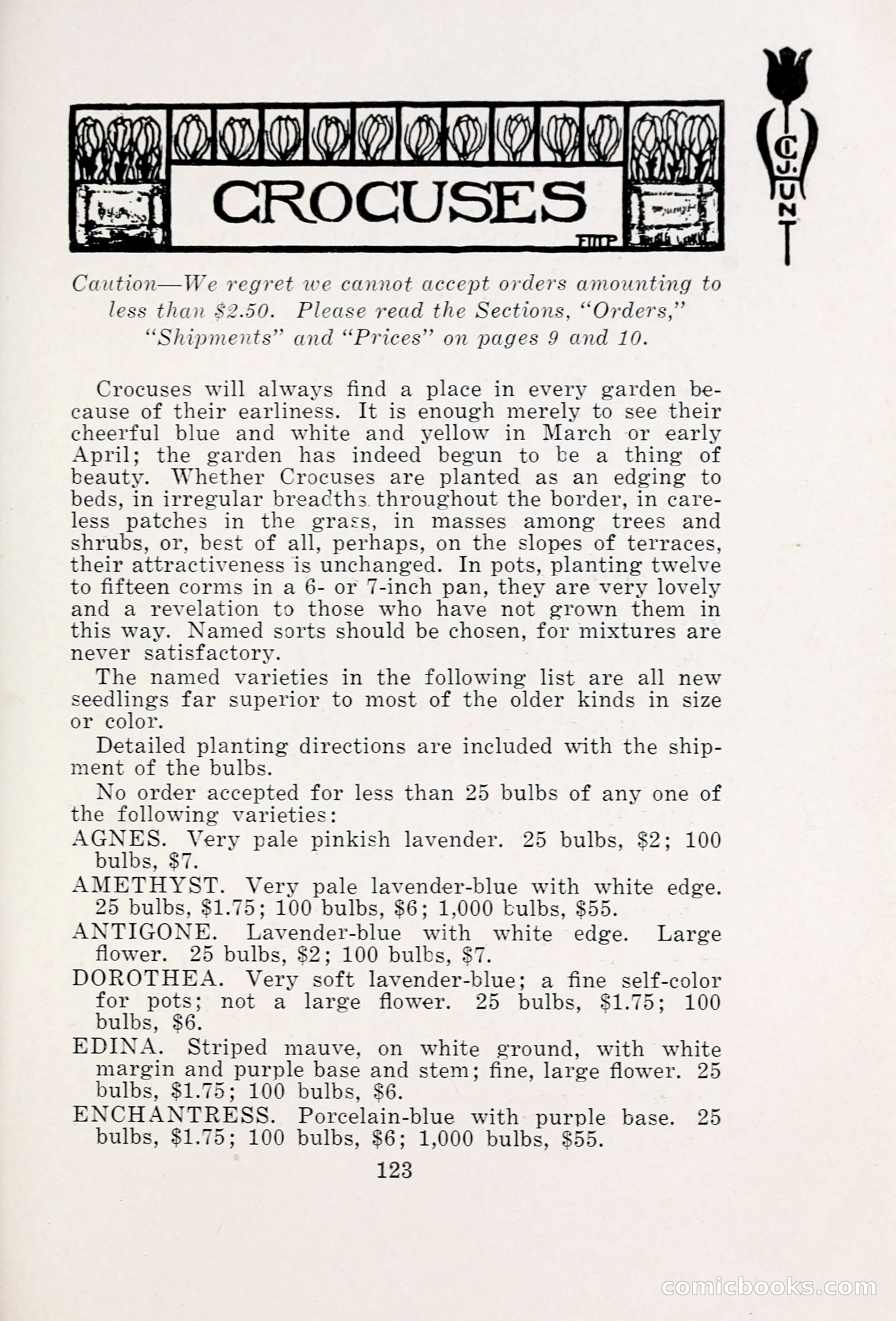 Blue Book of Bulbs, 1931 — page 128 of 142