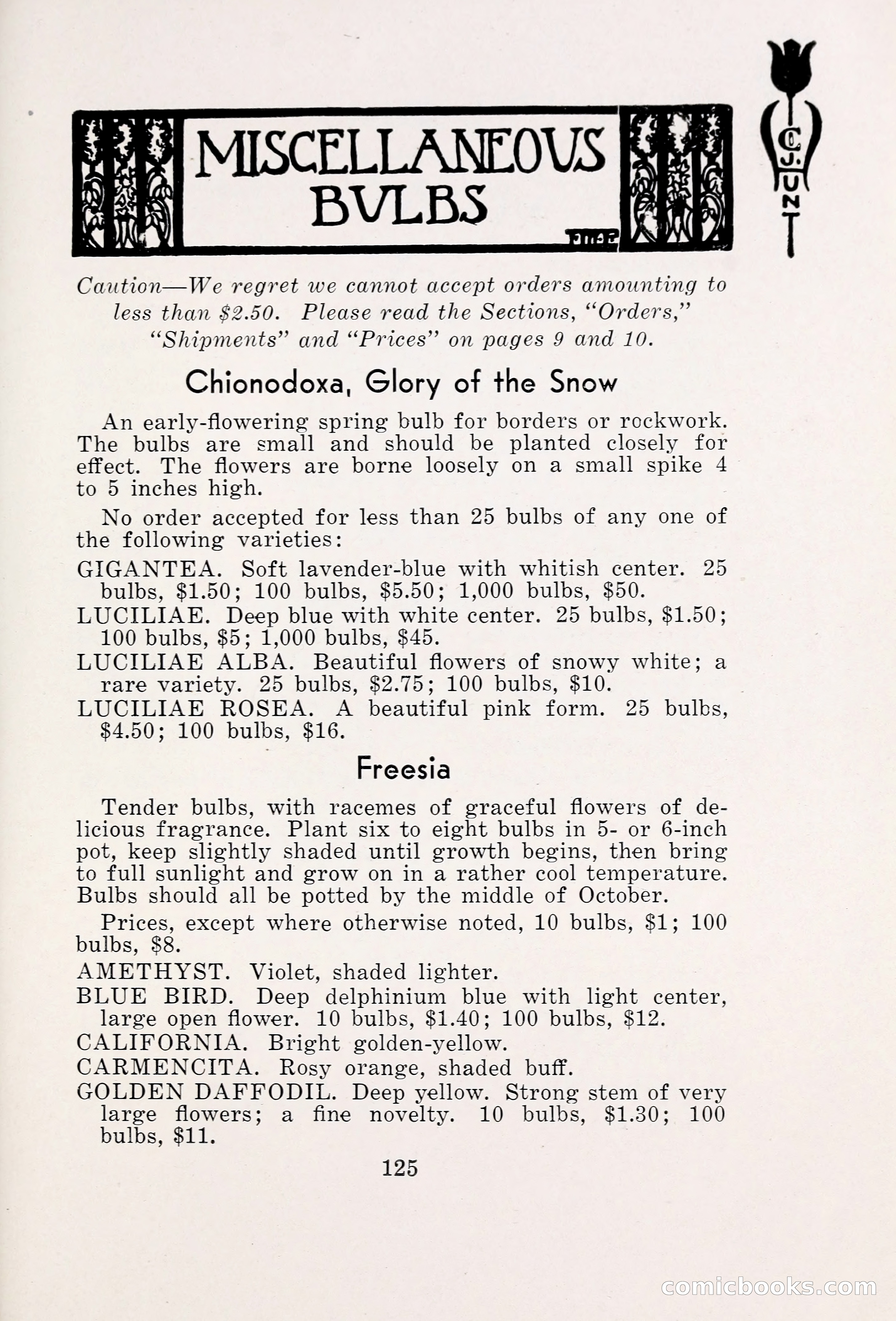 Blue Book of Bulbs, 1931 — page 130 of 142