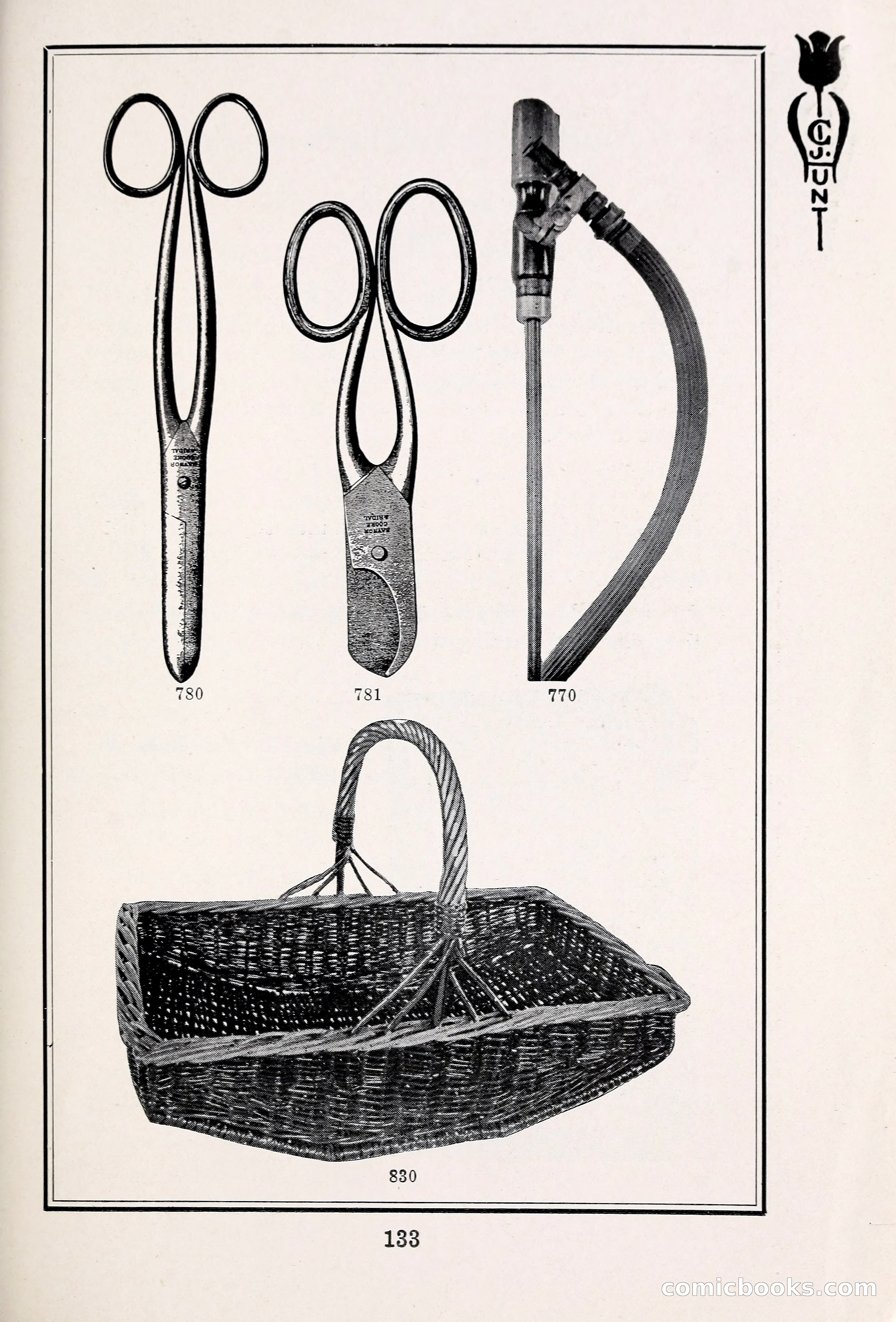Blue Book of Bulbs, 1931 — page 138 of 142