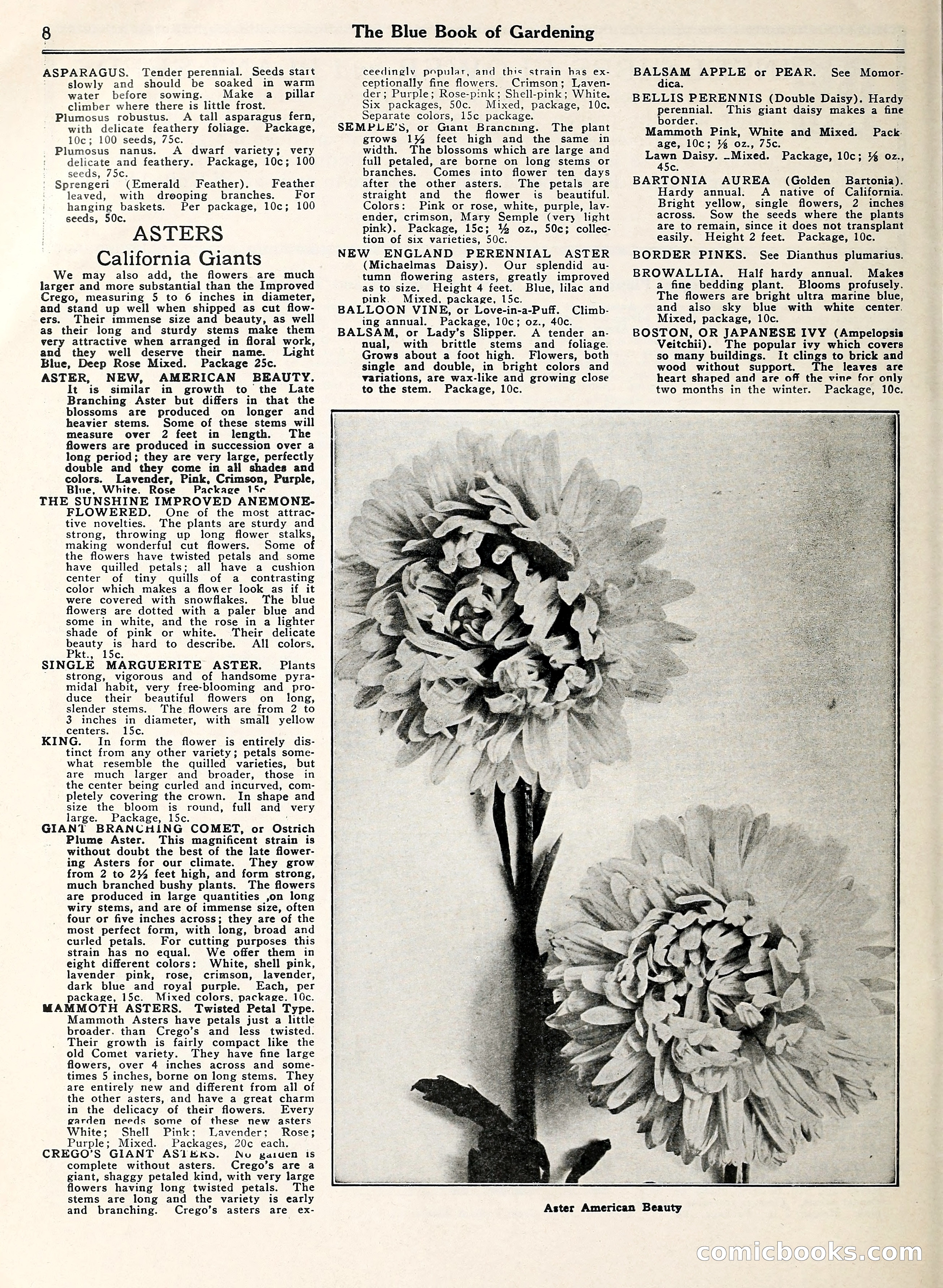 Blue Book of Gardening — page 13 of 69