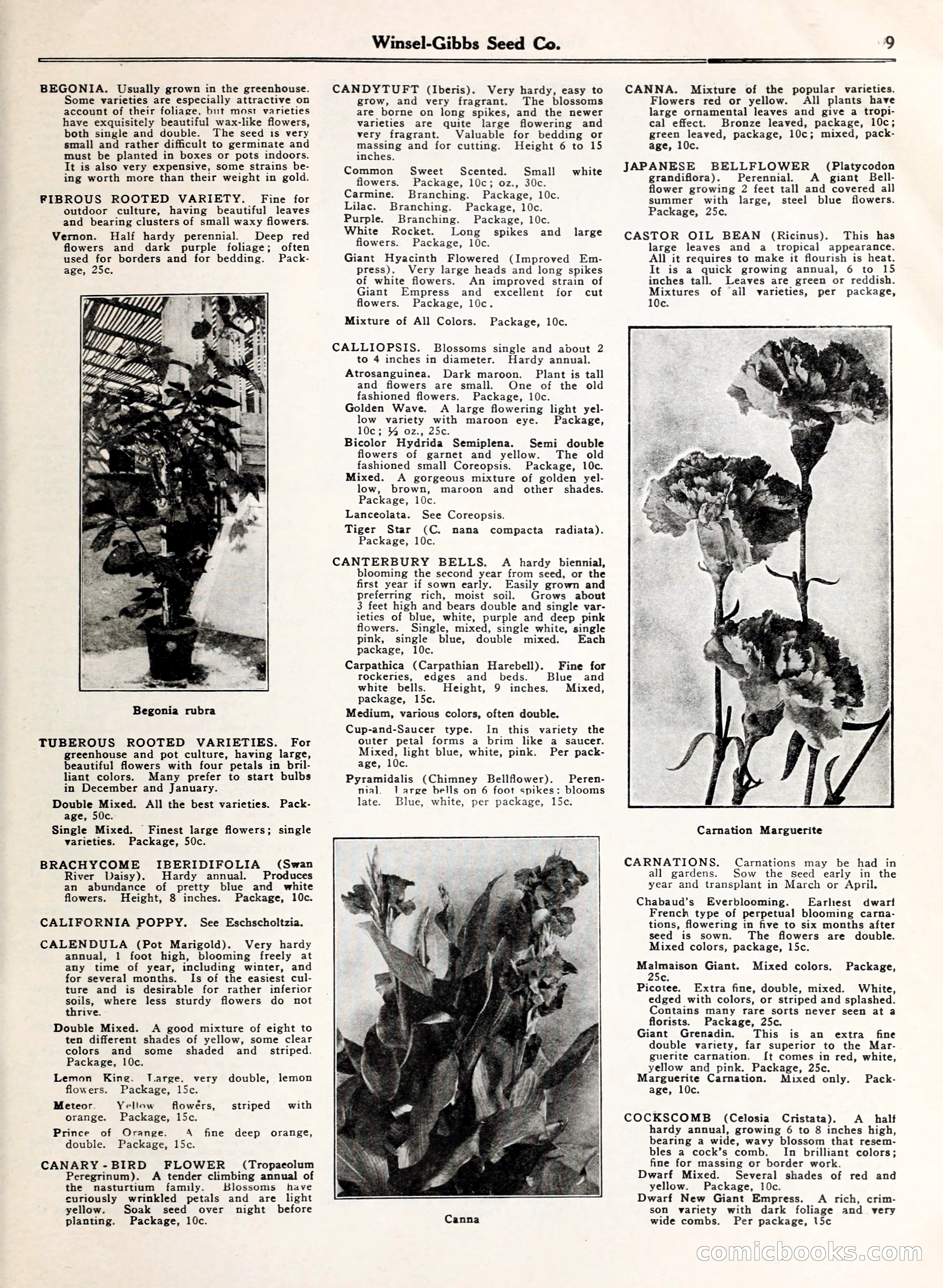 Blue Book of Gardening — page 14 of 69