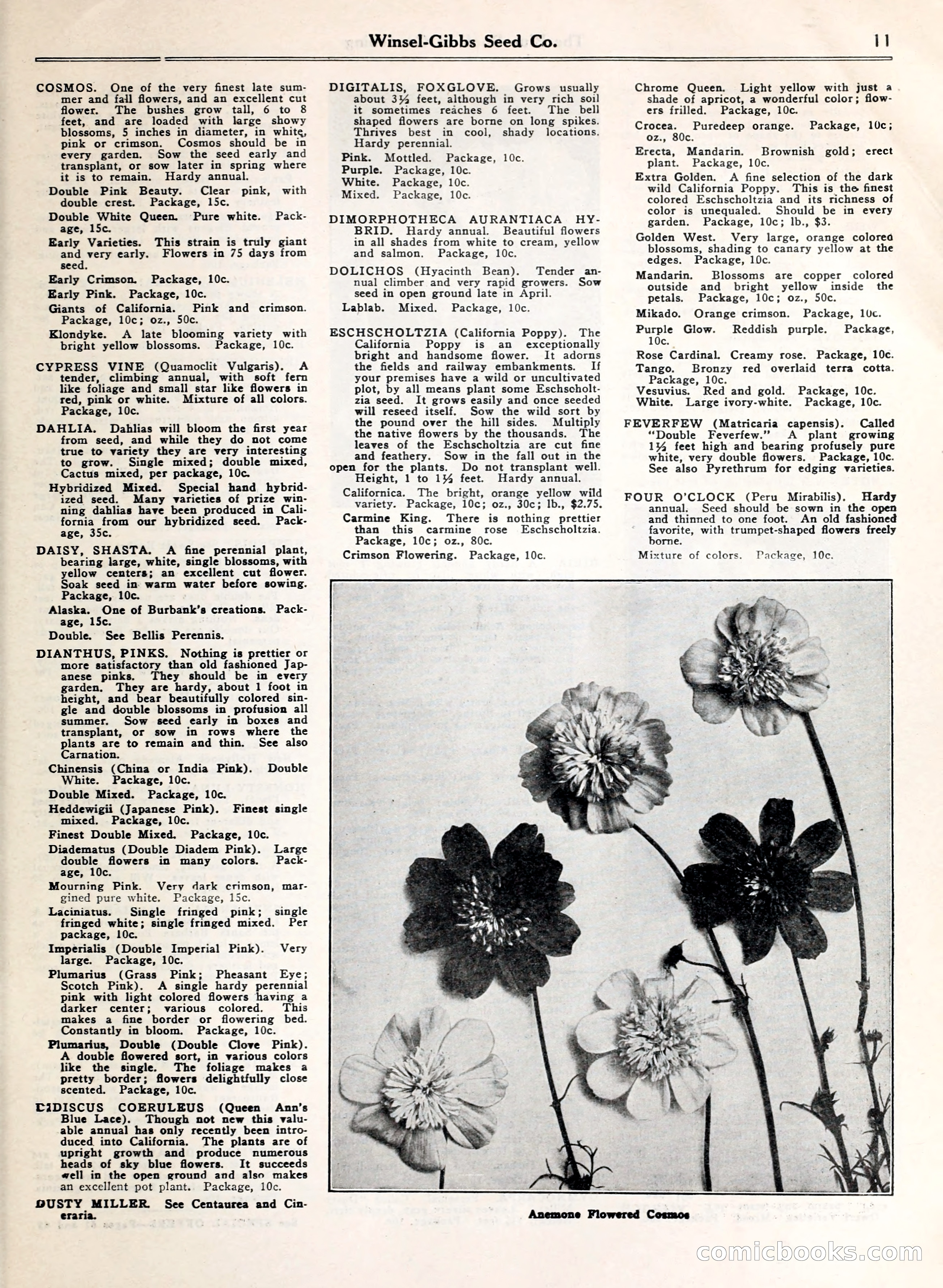 Blue Book of Gardening — page 16 of 69
