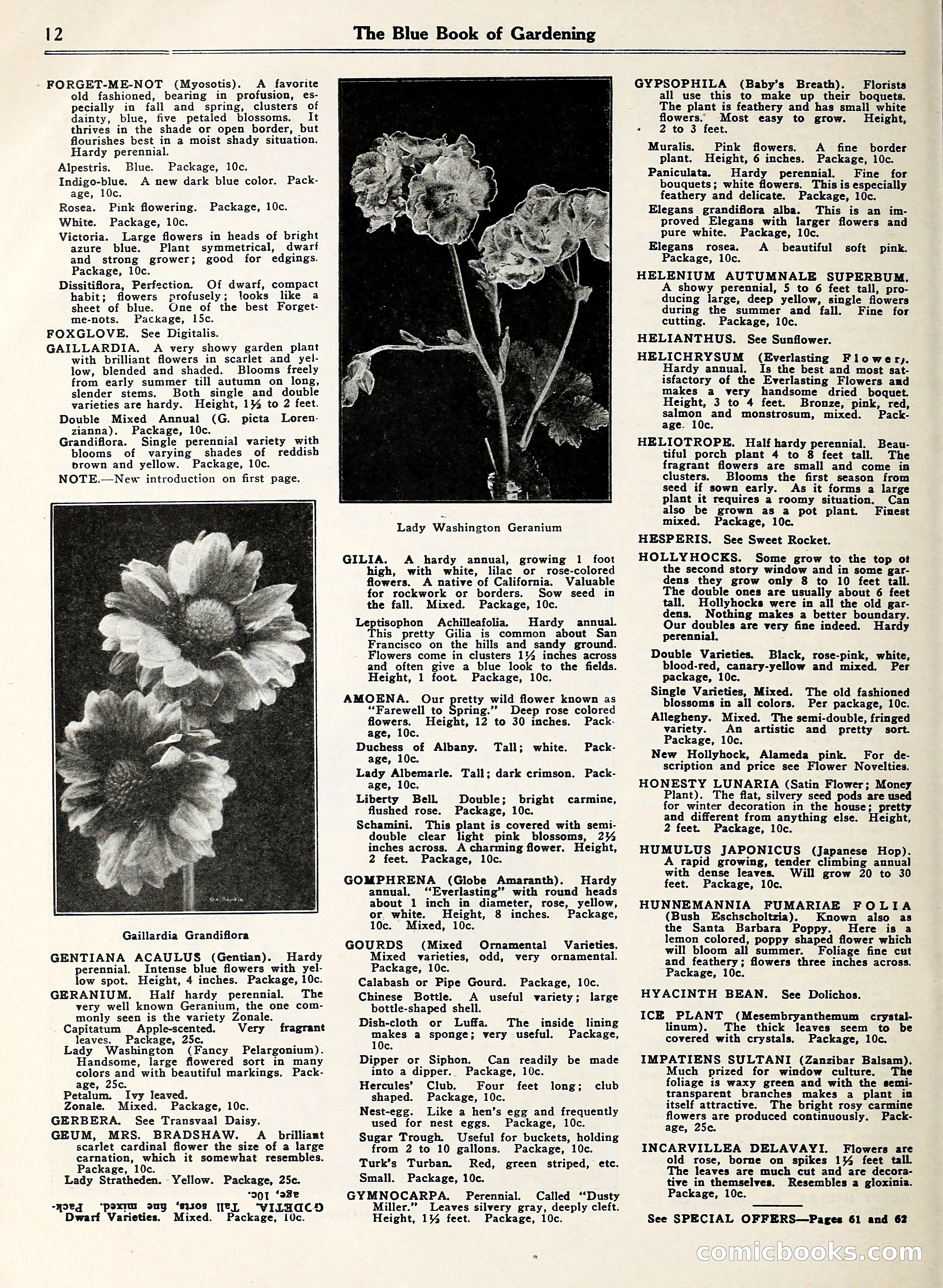 Blue Book of Gardening — page 17 of 69