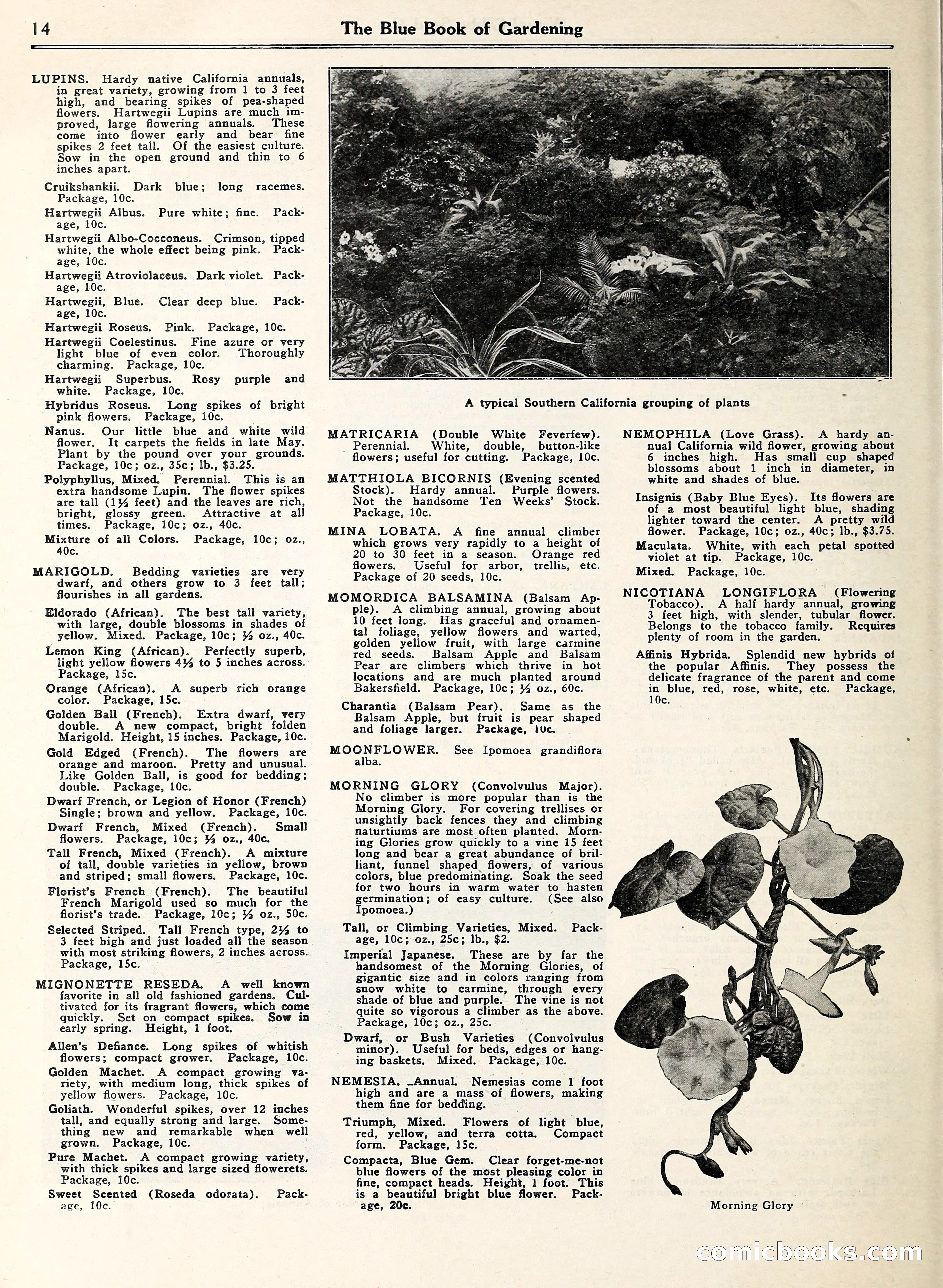 Blue Book of Gardening — page 19 of 69